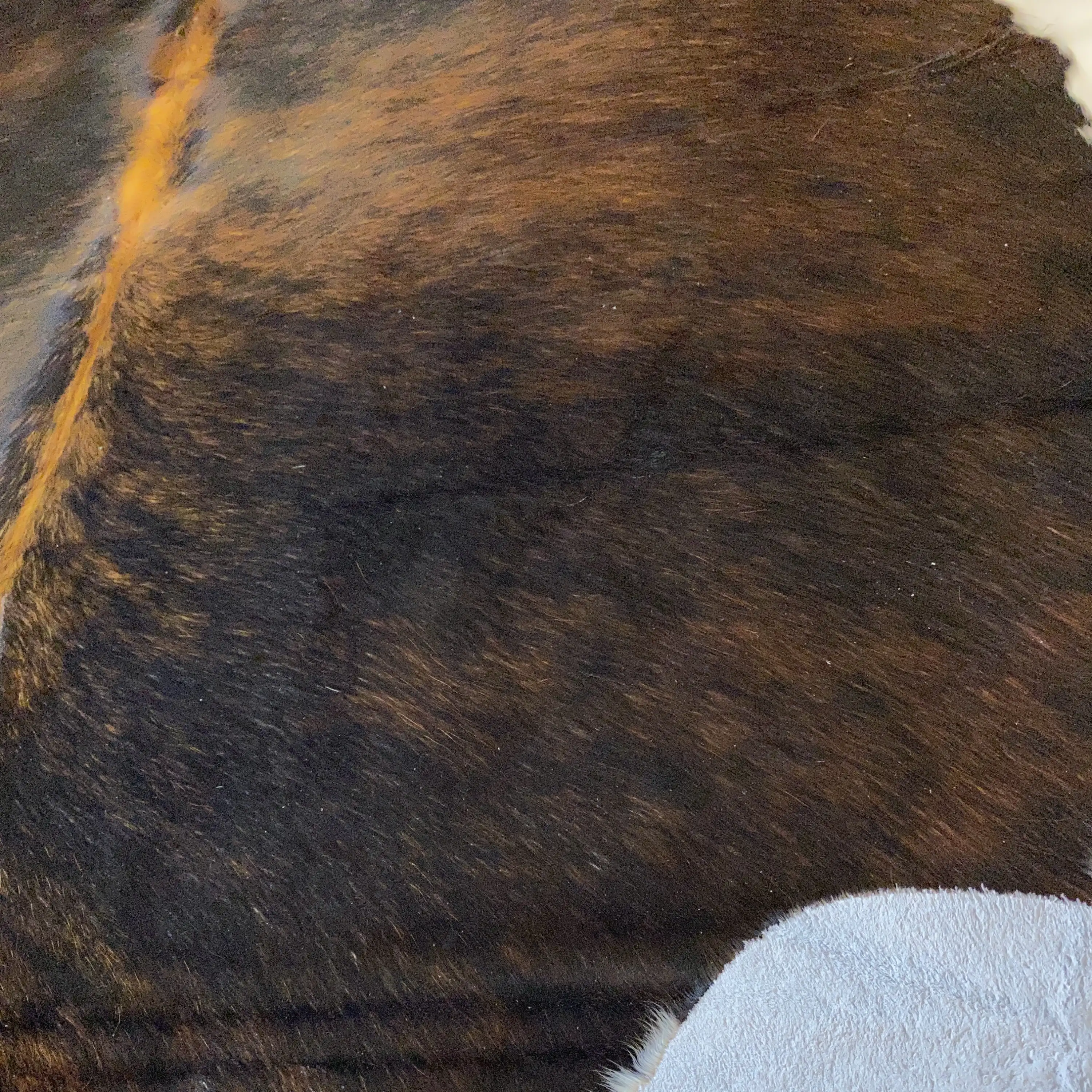 HAKİKİ DERİ DANA POSTU EGZOTİK 185 x 210 - 0401000048