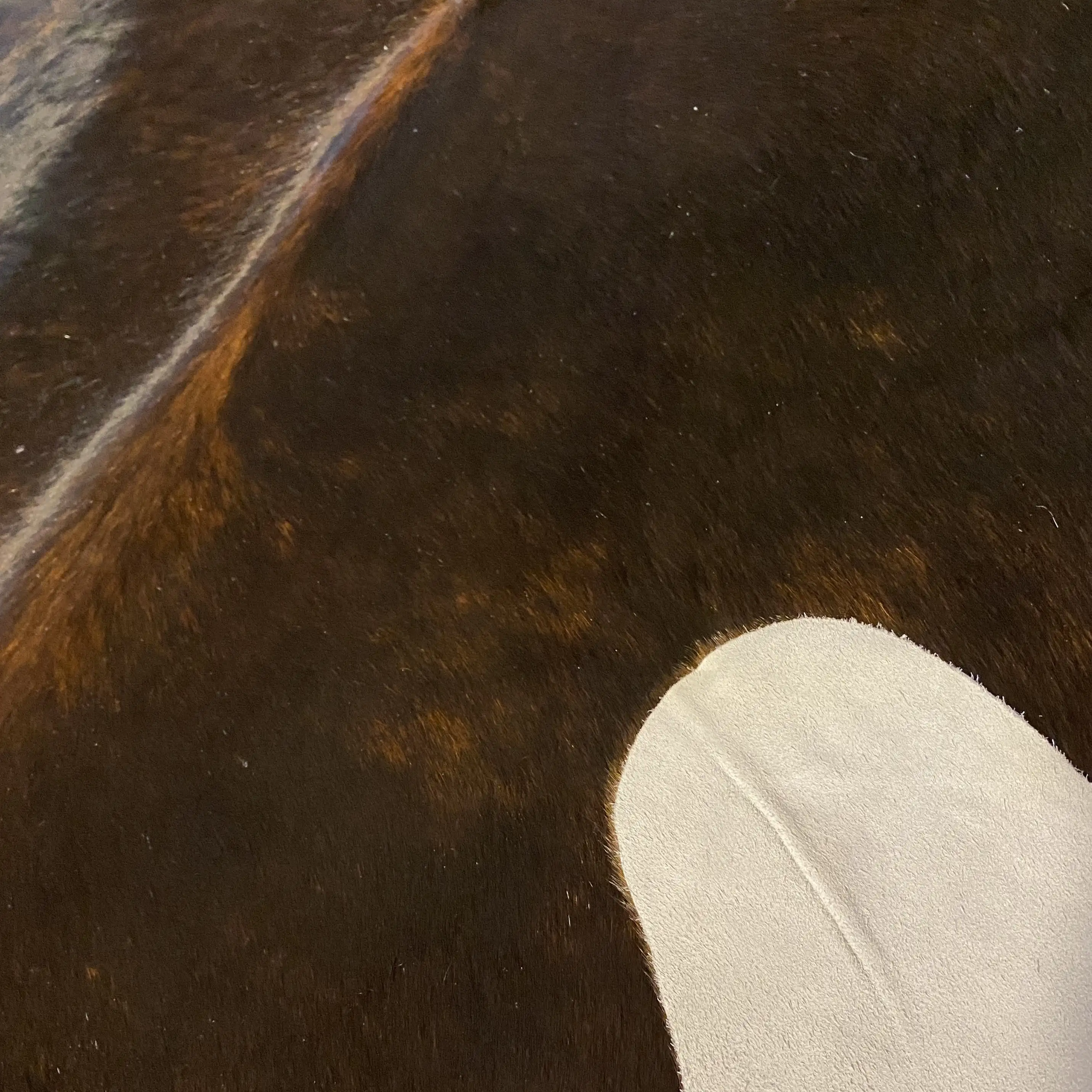 HAKİKİ DERİ DANA POSTU EGZOTİK 185 x 215 - 0401000133