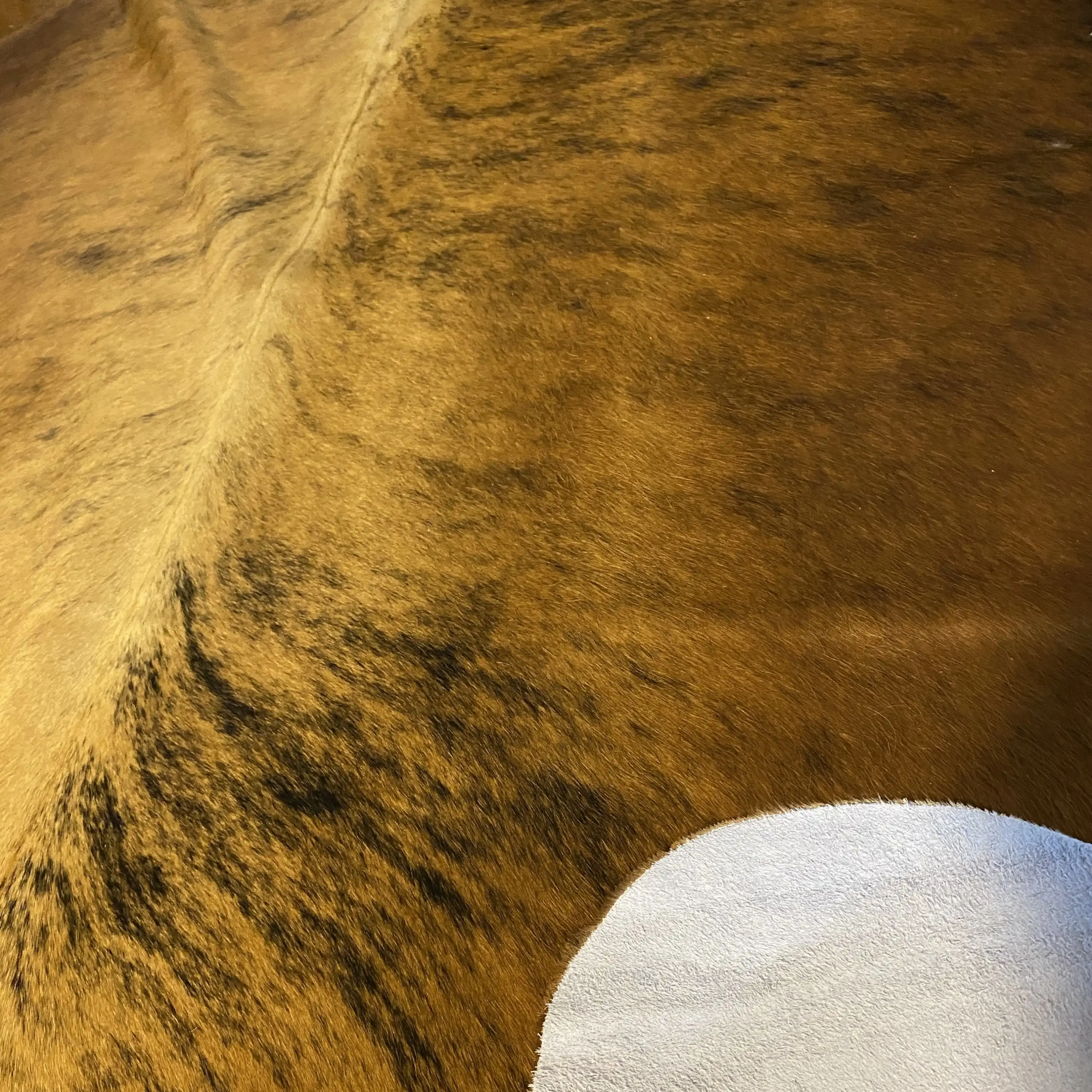 HAKİKİ DERİ DANA POSTU EGZOTİK 185 x 230 - 0401000241