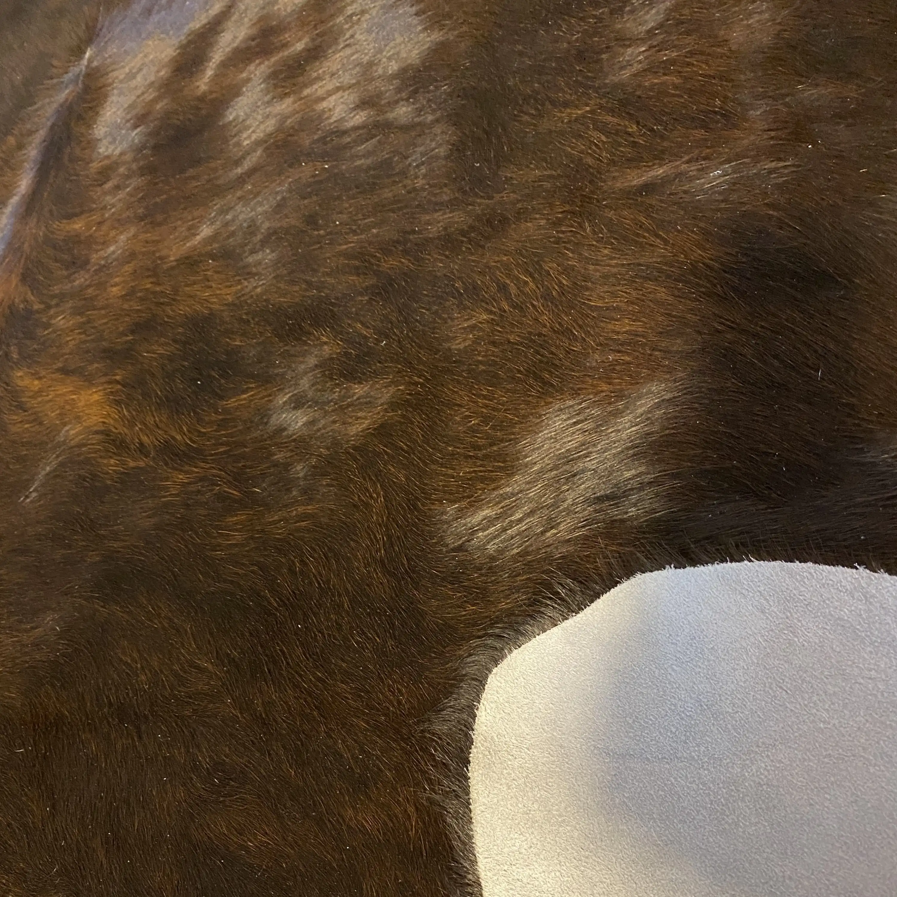 HAKİKİ DERİ DANA POSTU EGZOTİK 185 x 235 - 0401000210