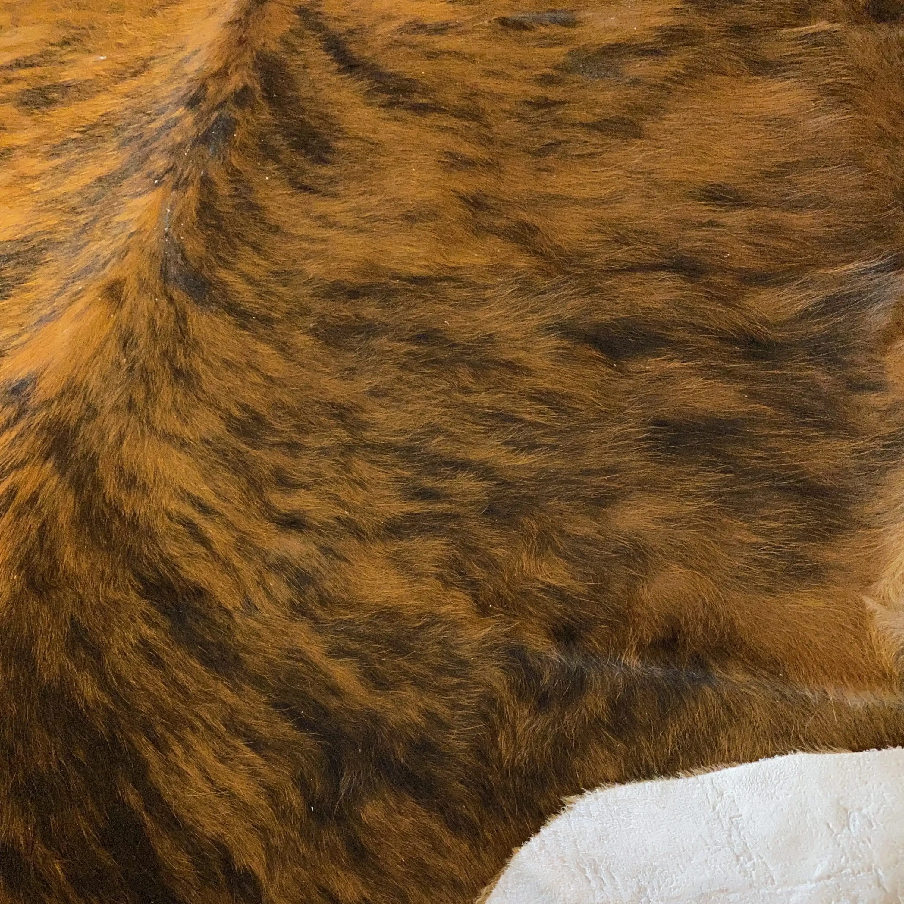 HAKİKİ DERİ DANA POSTU EGZOTİK 190 x 190 - 0401000033