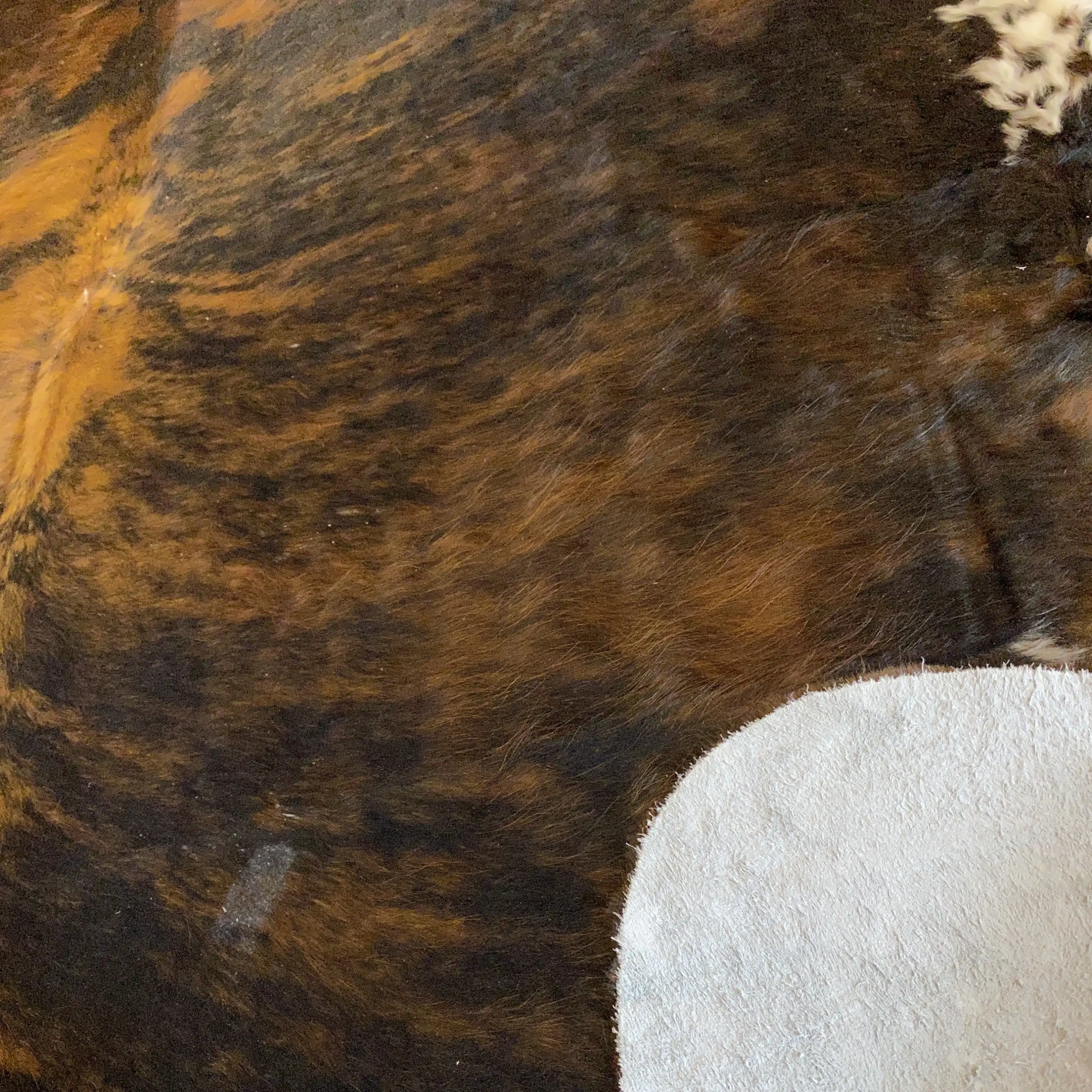 HAKİKİ DERİ DANA POSTU EGZOTİK 190 x 210 - 0401000047