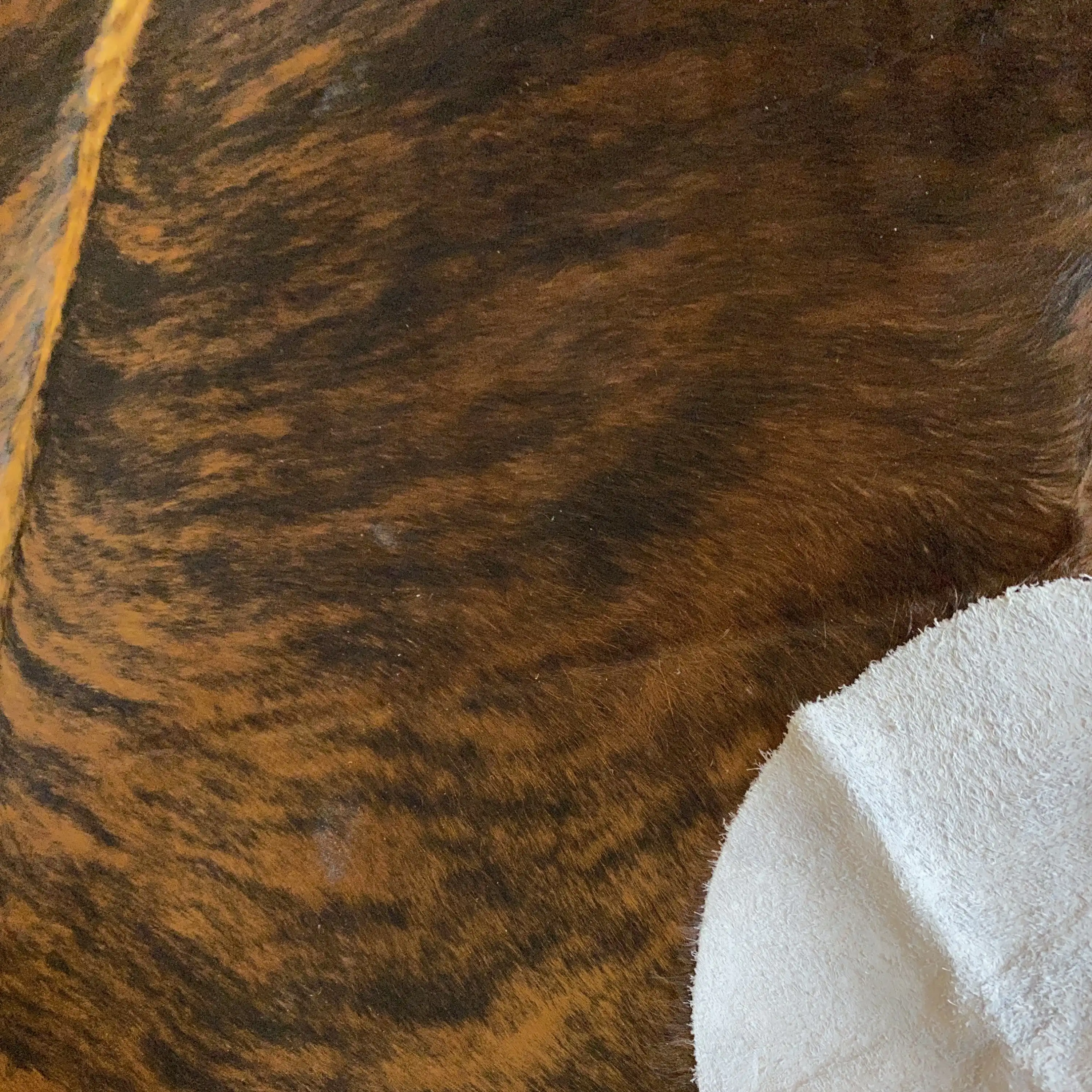 HAKİKİ DERİ DANA POSTU EGZOTİK 190 x 210 - 0401000082