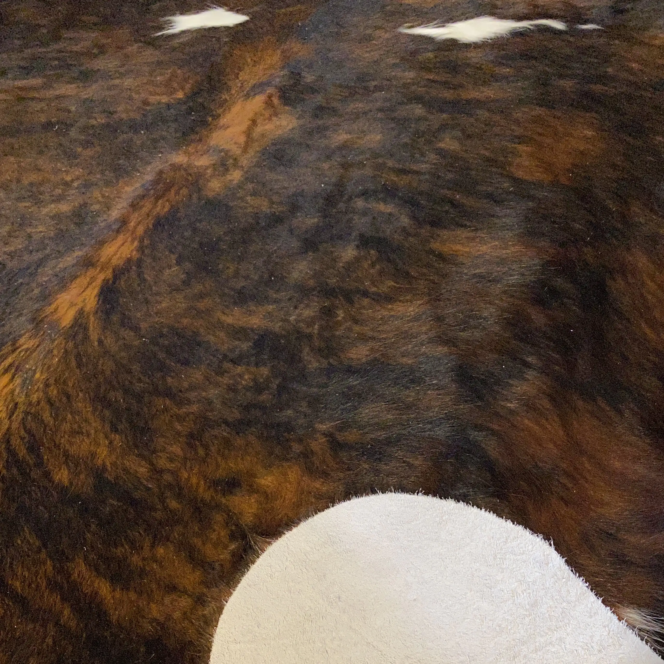 HAKİKİ DERİ DANA POSTU EGZOTİK 190 x 210 - 0401000331