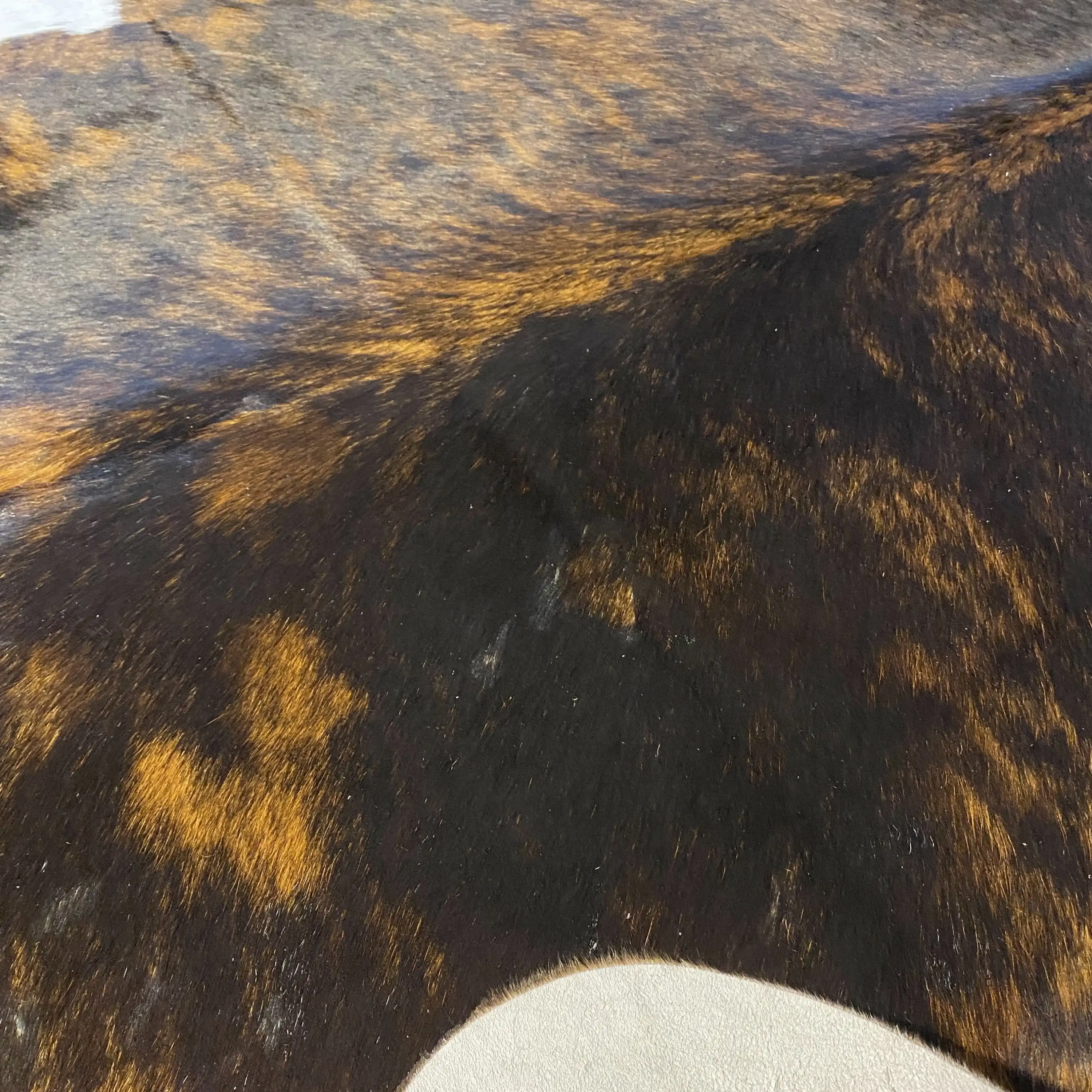 HAKİKİ DERİ DANA POSTU EGZOTİK 190 x 215 - 0401000376