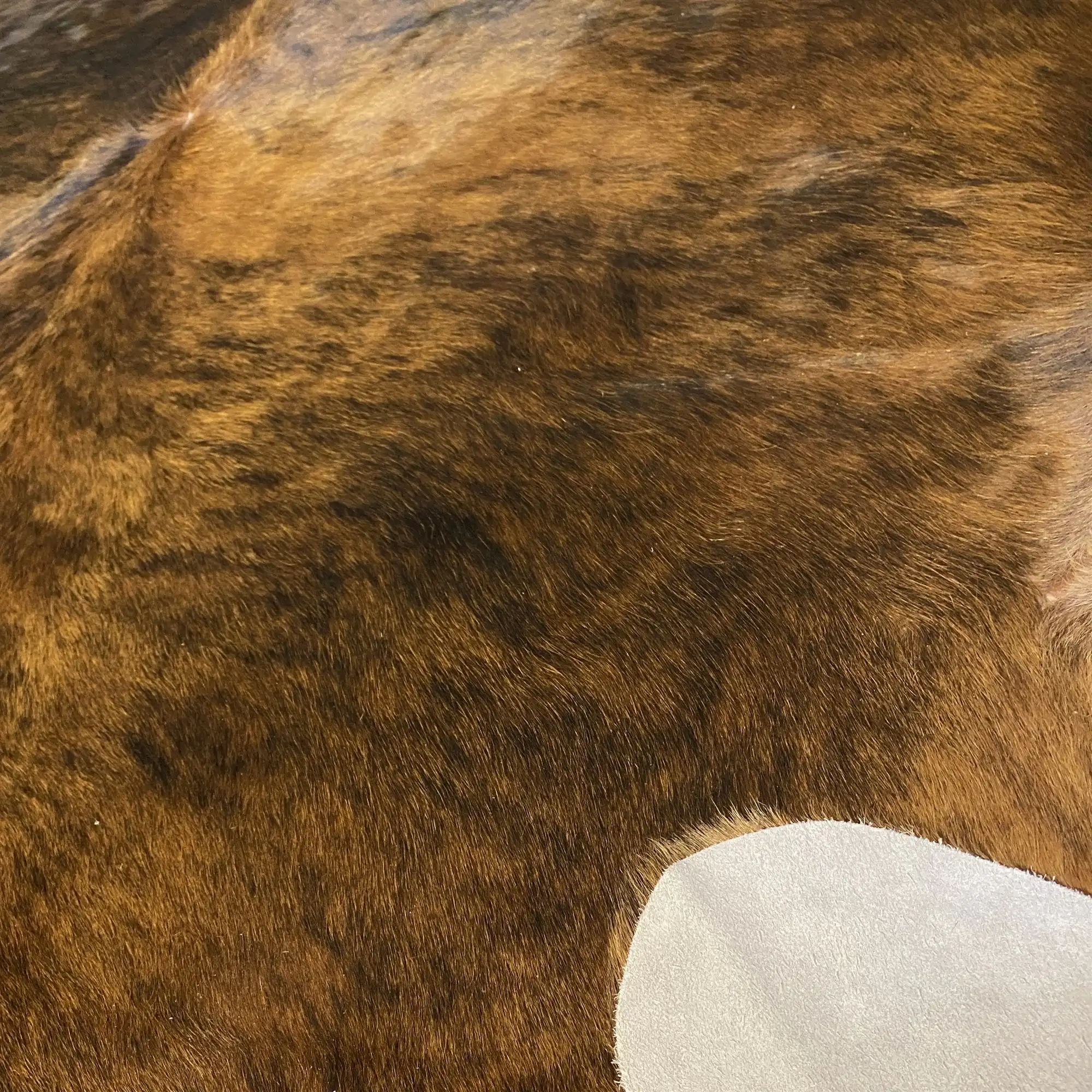 HAKİKİ DERİ DANA POSTU EGZOTİK 190 x 220 - 0401000187