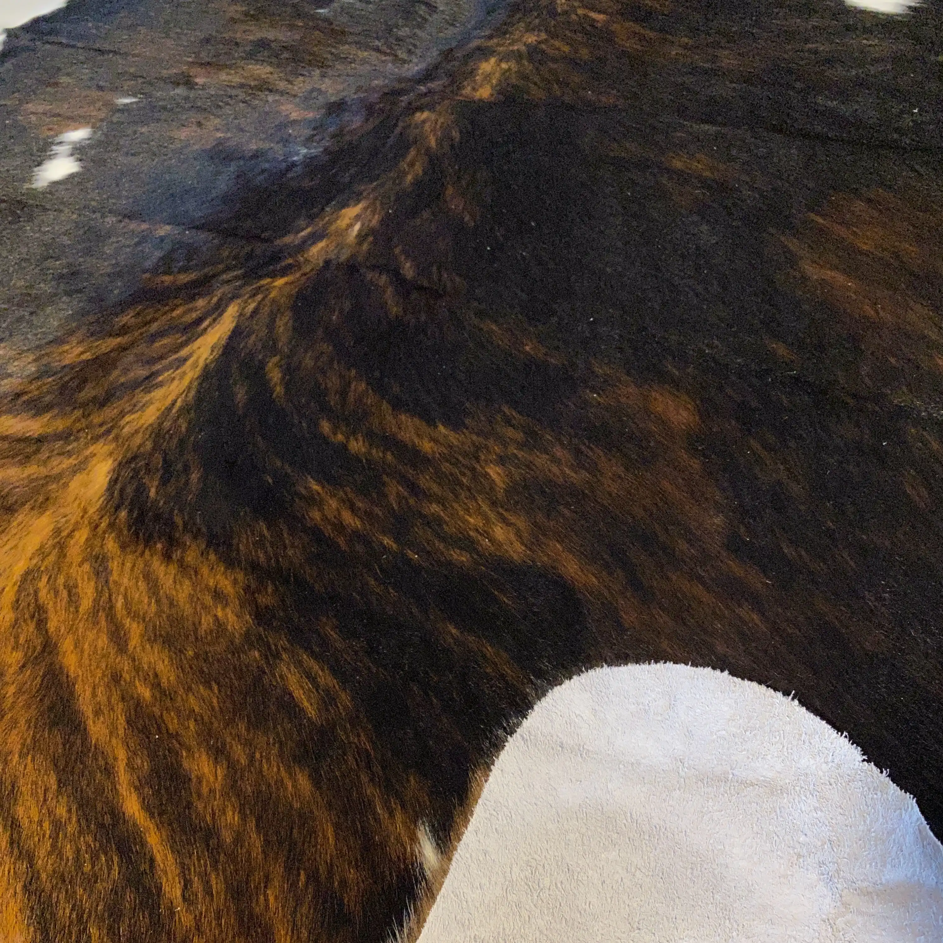 HAKİKİ DERİ DANA POSTU EGZOTİK 190 x 225 - 0401000321