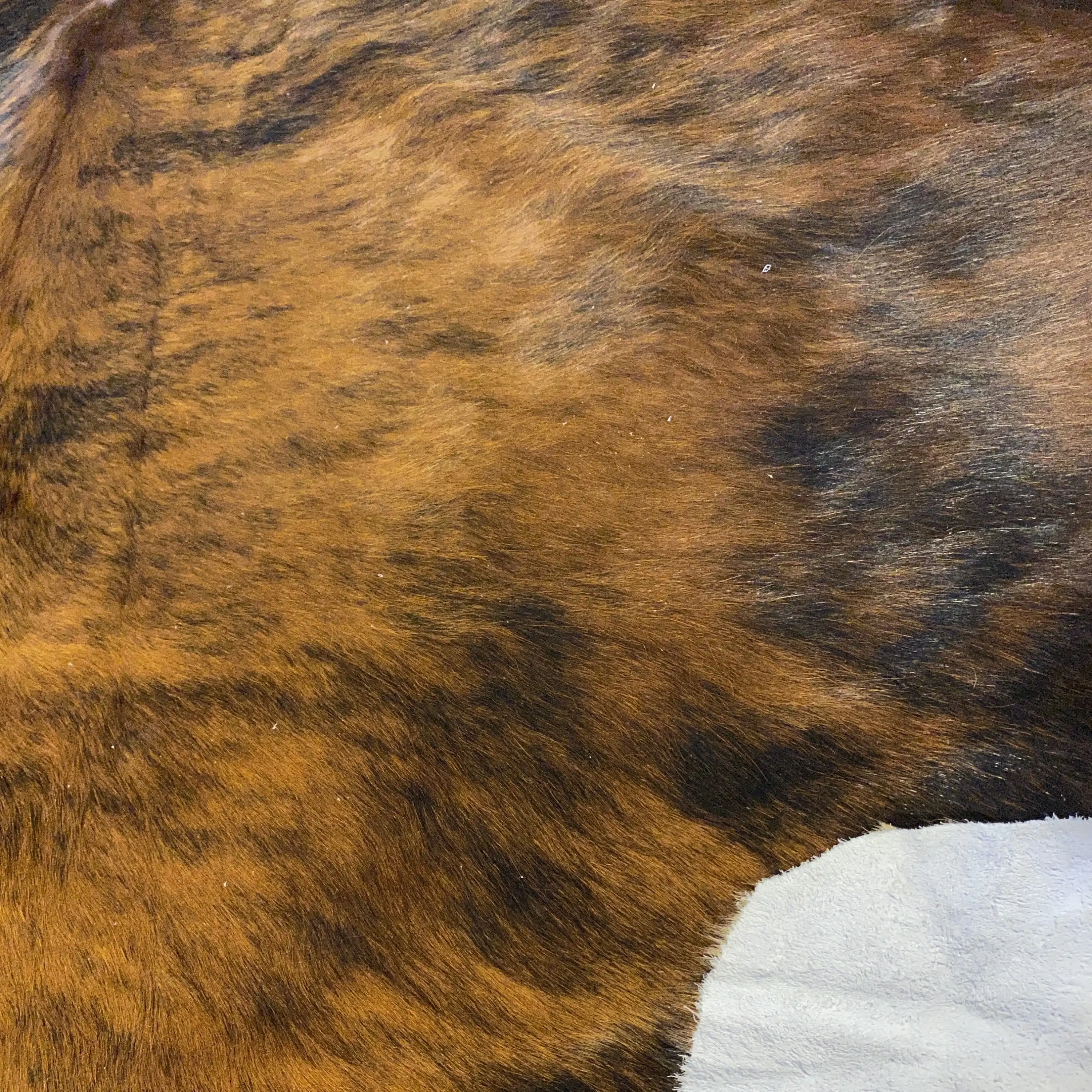 HAKİKİ DERİ DANA POSTU EGZOTİK 195 x 210 - 0401000166