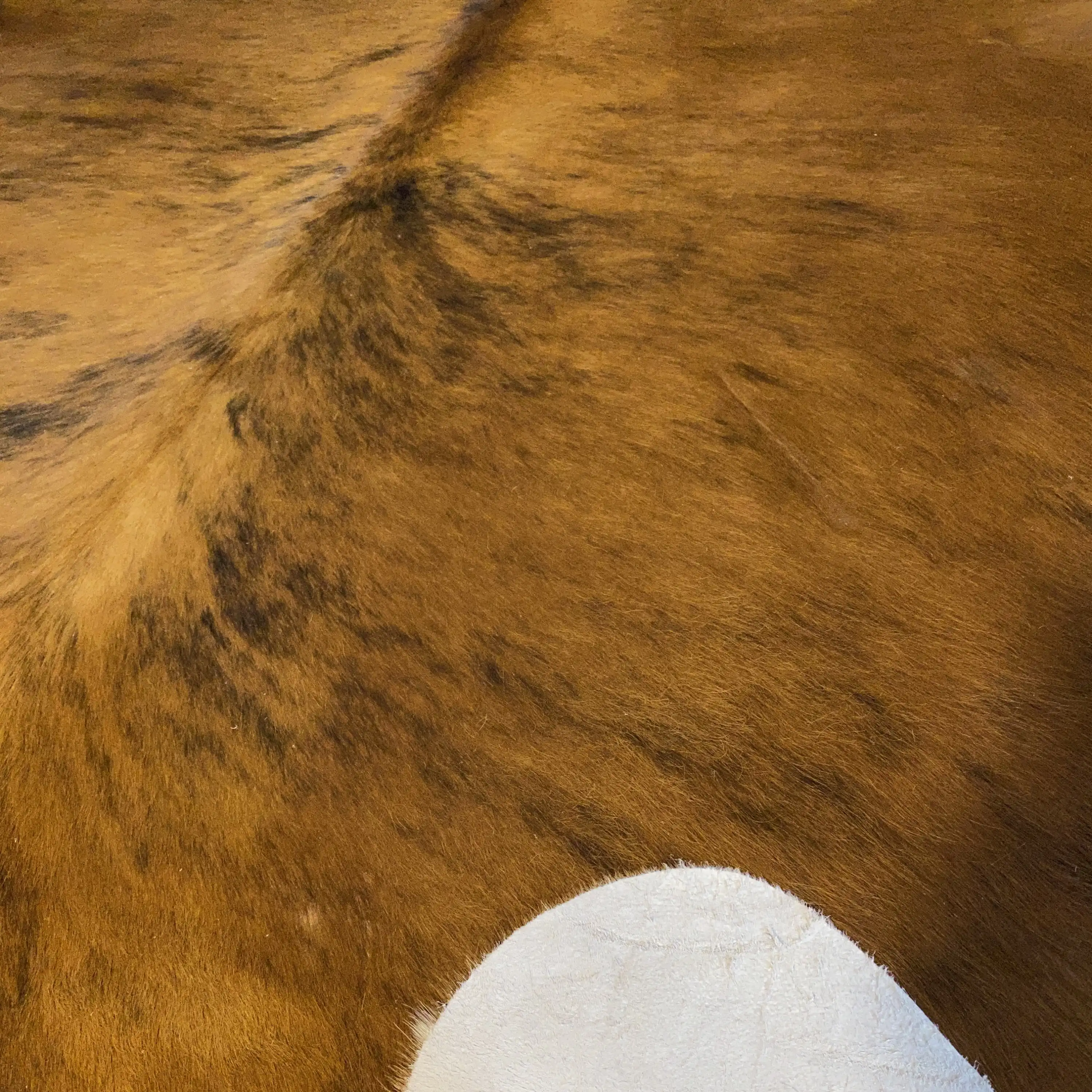 HAKİKİ DERİ DANA POSTU EGZOTİK 195 x 210 - 0401000311