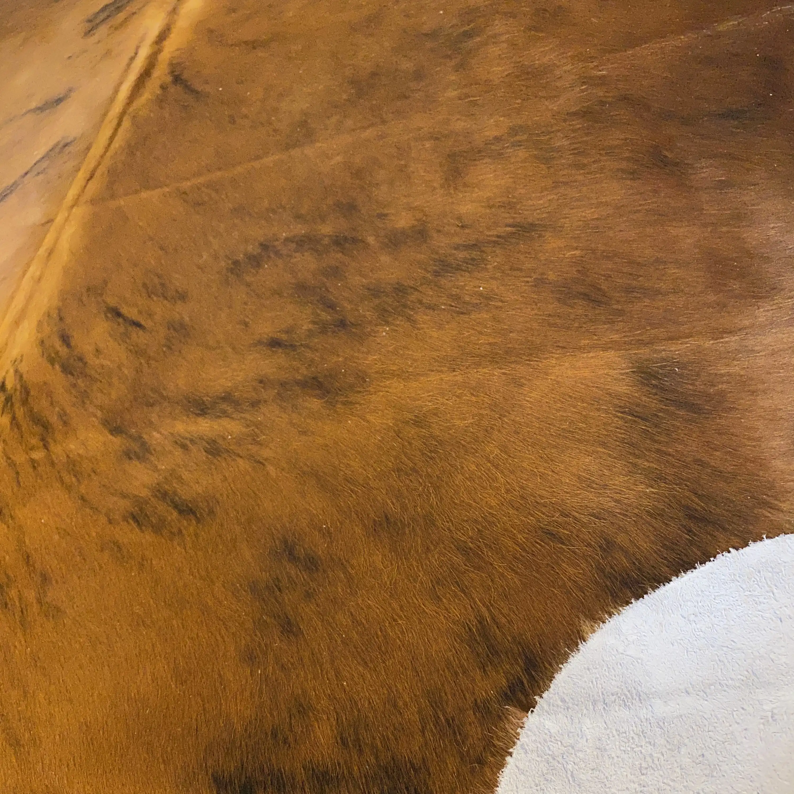 HAKİKİ DERİ DANA POSTU EGZOTİK 195 x 215 - 0401000163