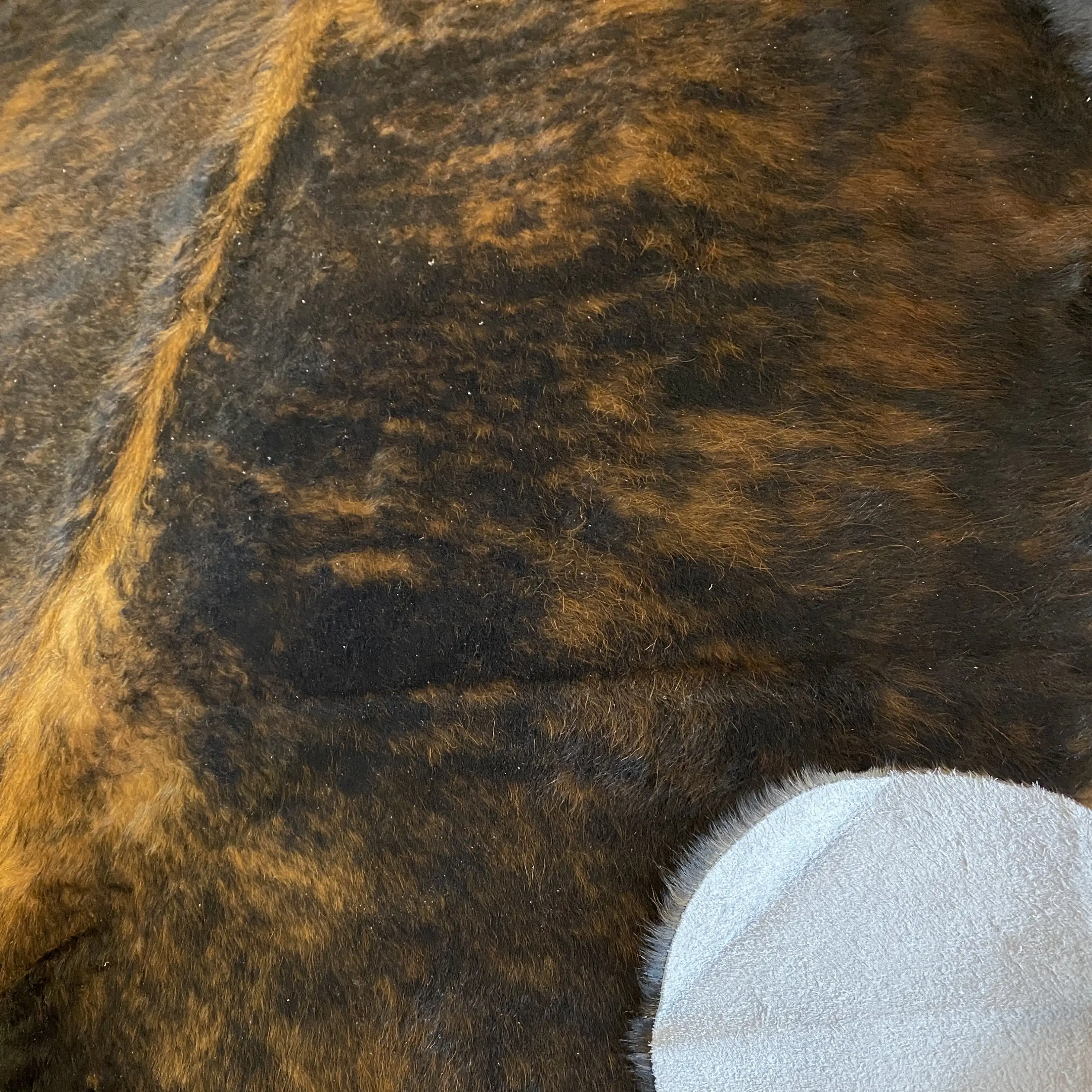 HAKİKİ DERİ DANA POSTU EGZOTİK 195 x 230 - 0401000053