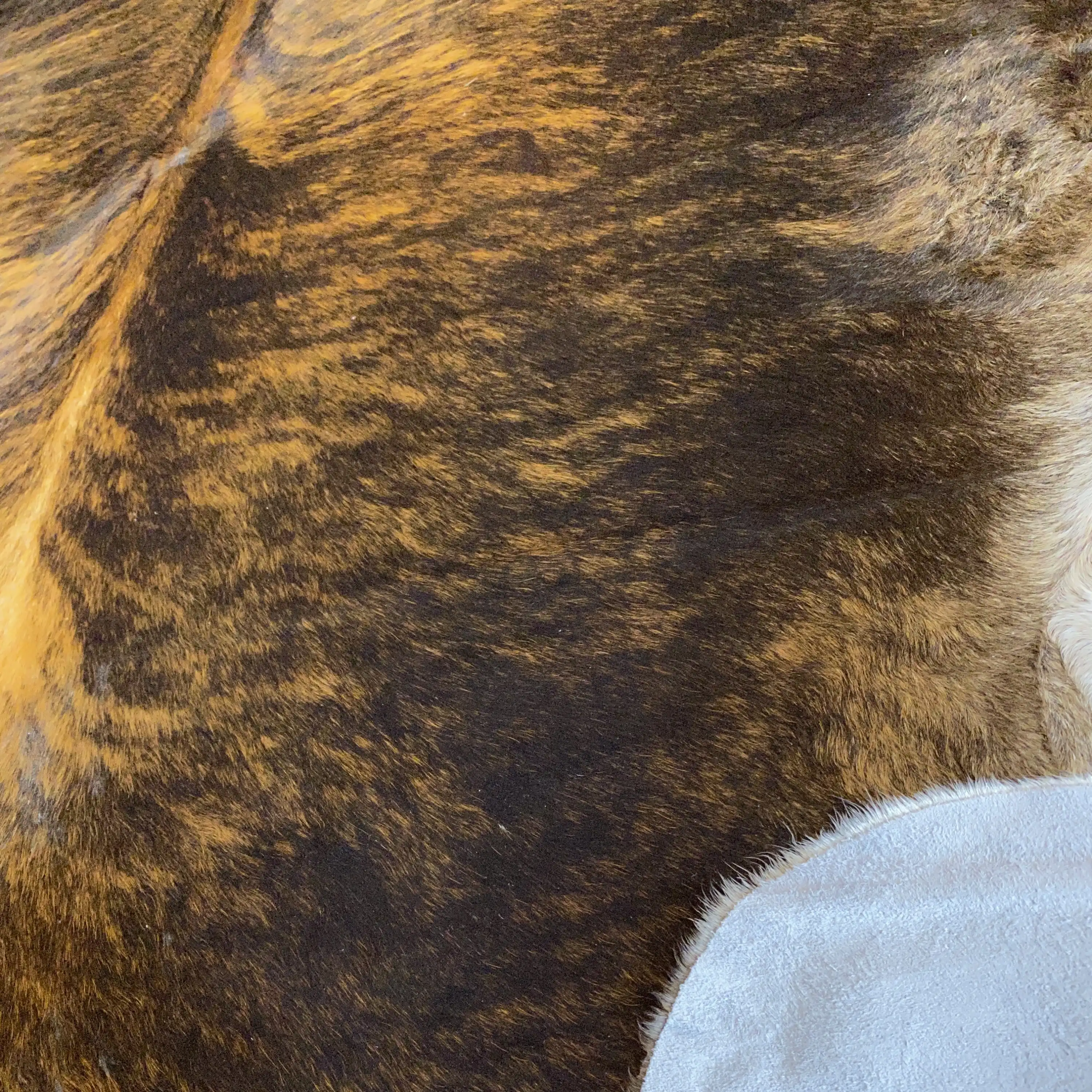 HAKİKİ DERİ DANA POSTU EGZOTİK 195 x 230 - 0401000055