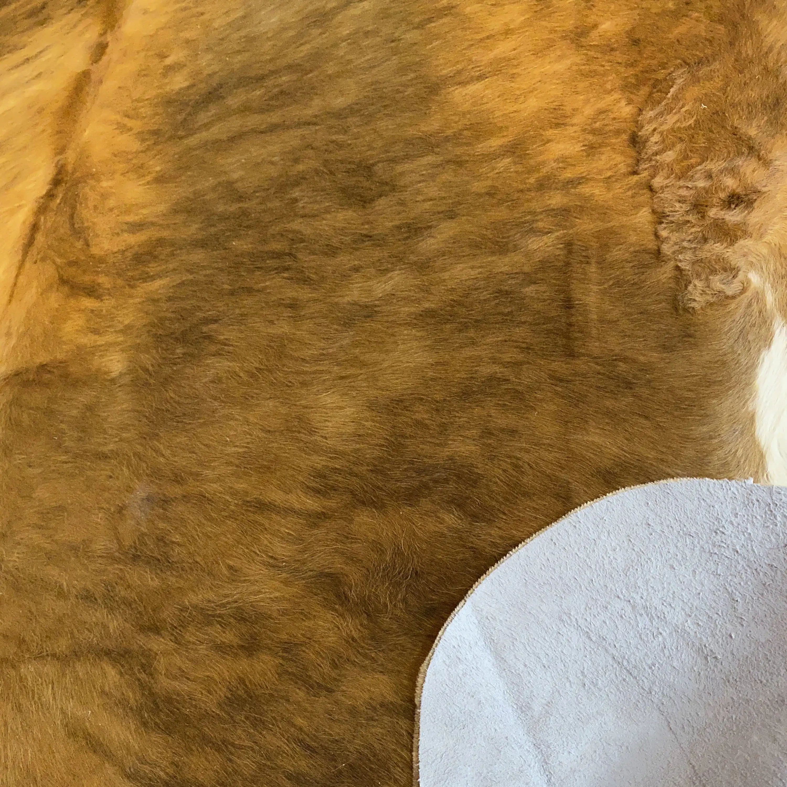 HAKİKİ DERİ DANA POSTU EGZOTİK 200 x 210 - 0401000077