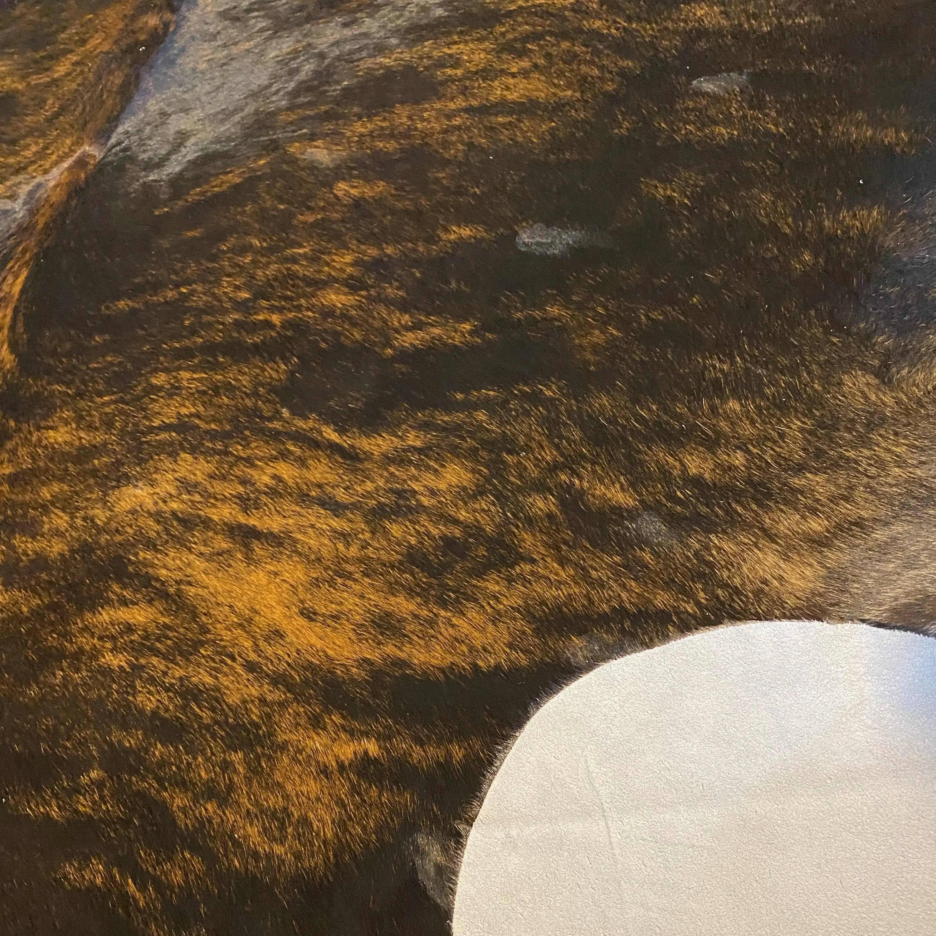 HAKİKİ DERİ DANA POSTU EGZOTİK 200 x 210 - 0401000222