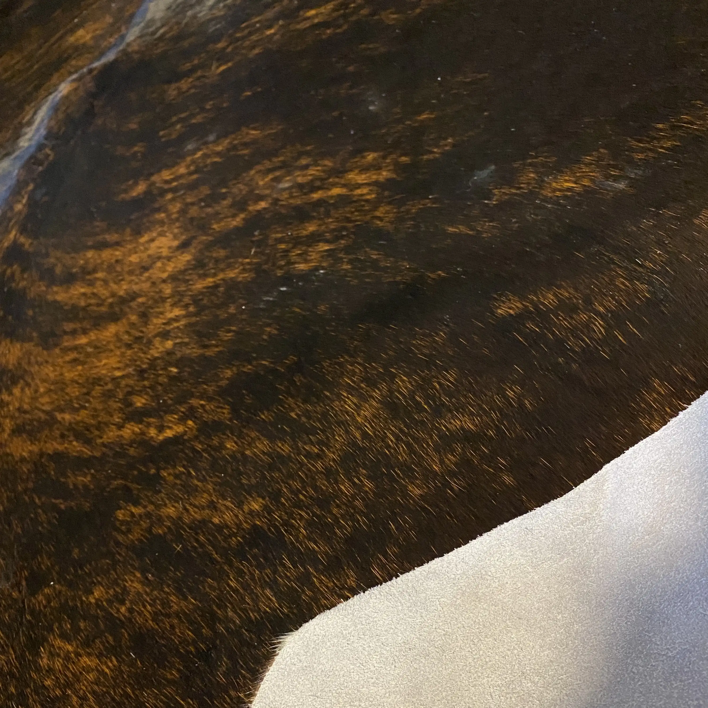 HAKİKİ DERİ DANA POSTU EGZOTİK 200 x 215 - 0401000136