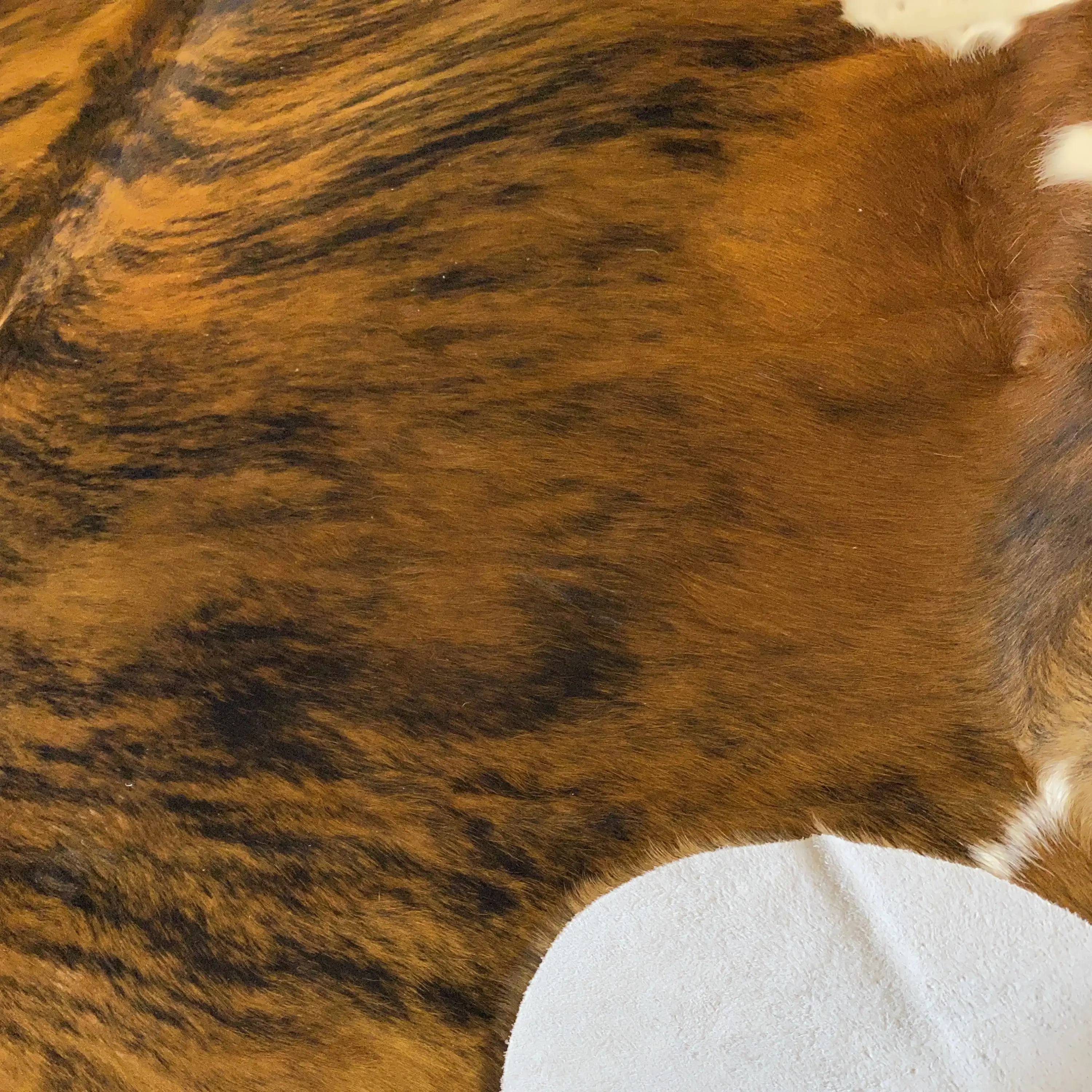 HAKİKİ DERİ DANA POSTU EGZOTİK 200 x 220 - 0401000051