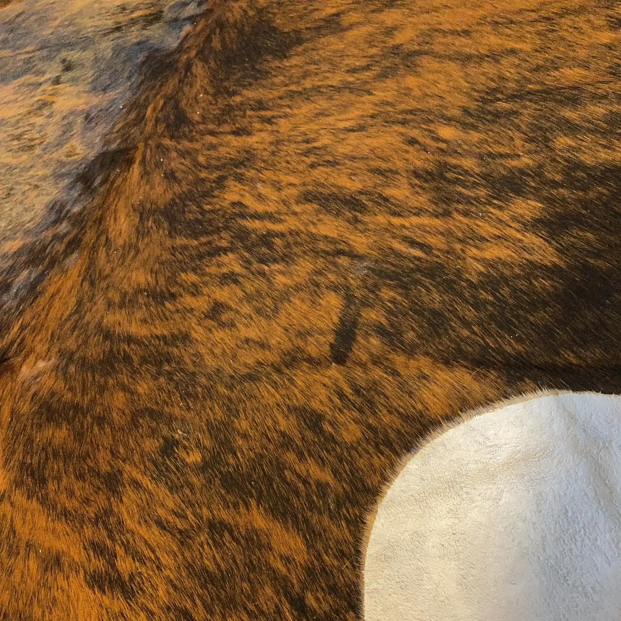 HAKİKİ DERİ DANA POSTU EGZOTİK 200 x 225 - 0401000169