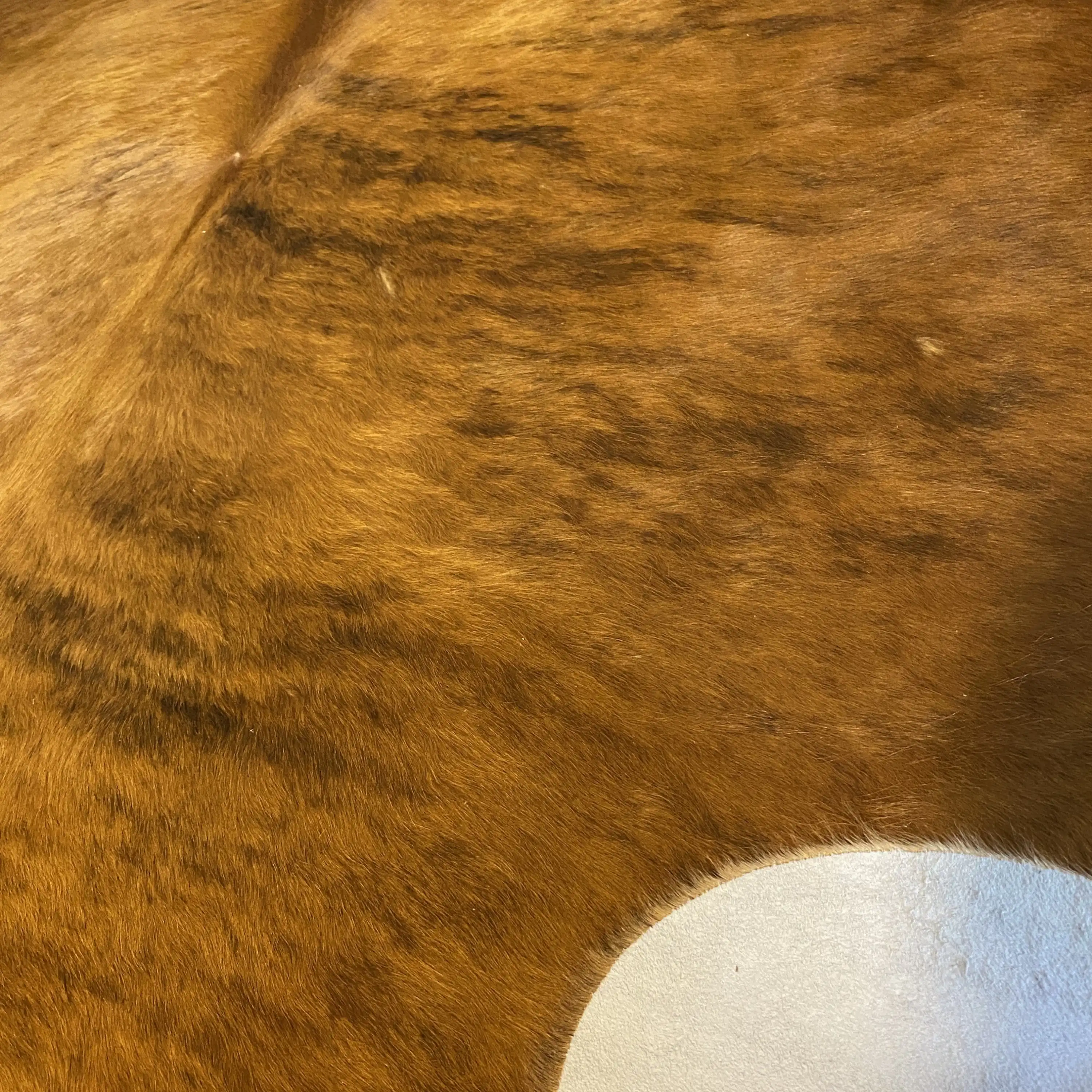 HAKİKİ DERİ DANA POSTU EGZOTİK 200 x 225 - 0401000189