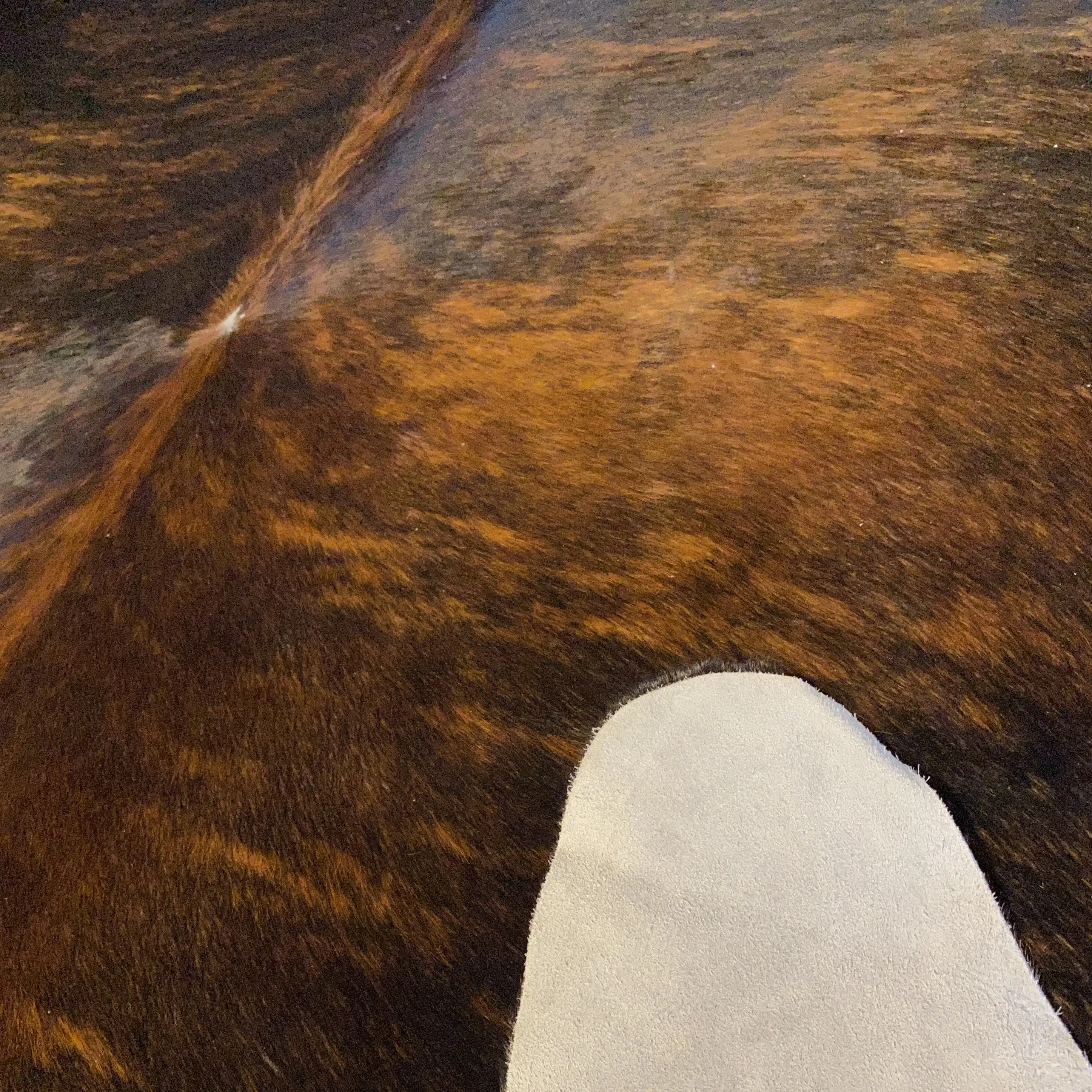 HAKİKİ DERİ DANA POSTU EGZOTİK 200 x 225 - 0401000328