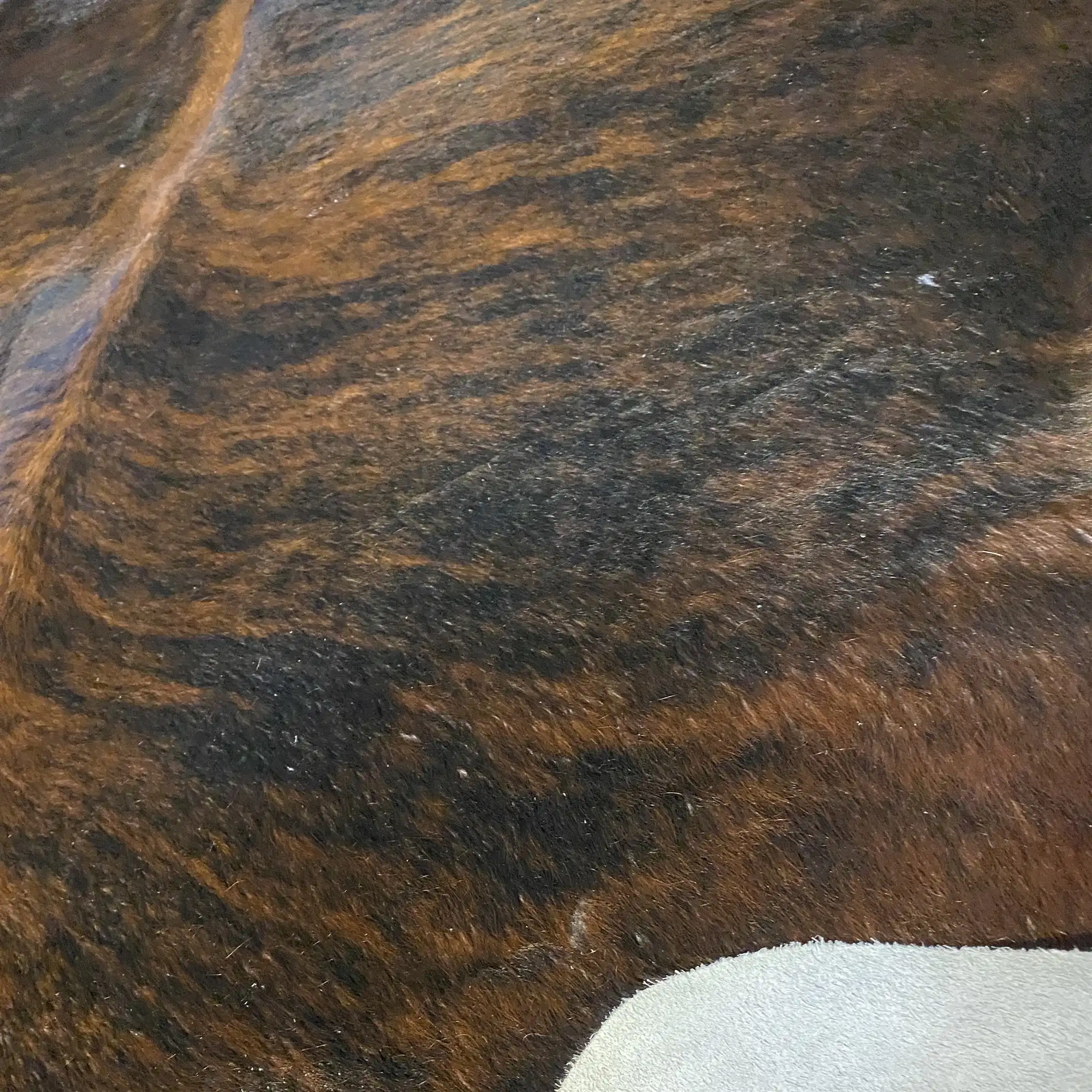 HAKİKİ DERİ DANA POSTU EGZOTİK 200 x 230 - 0401000126