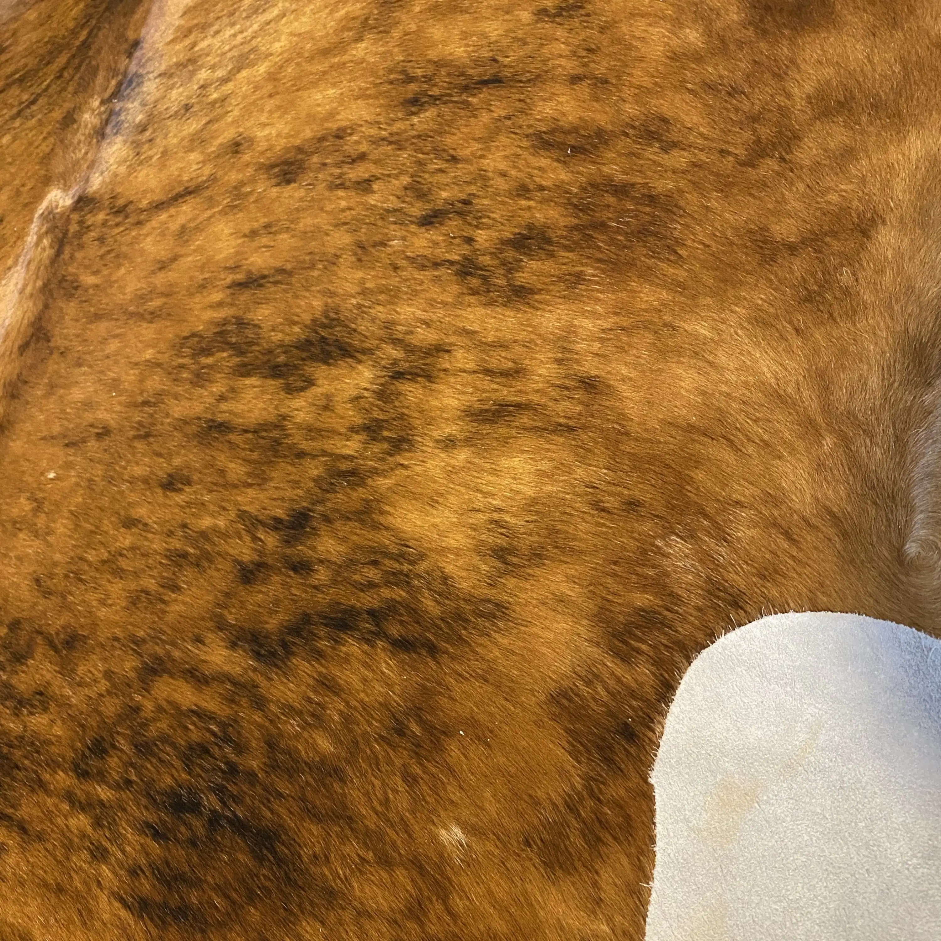 HAKİKİ DERİ DANA POSTU EGZOTİK 200 x 230 - 0401000209