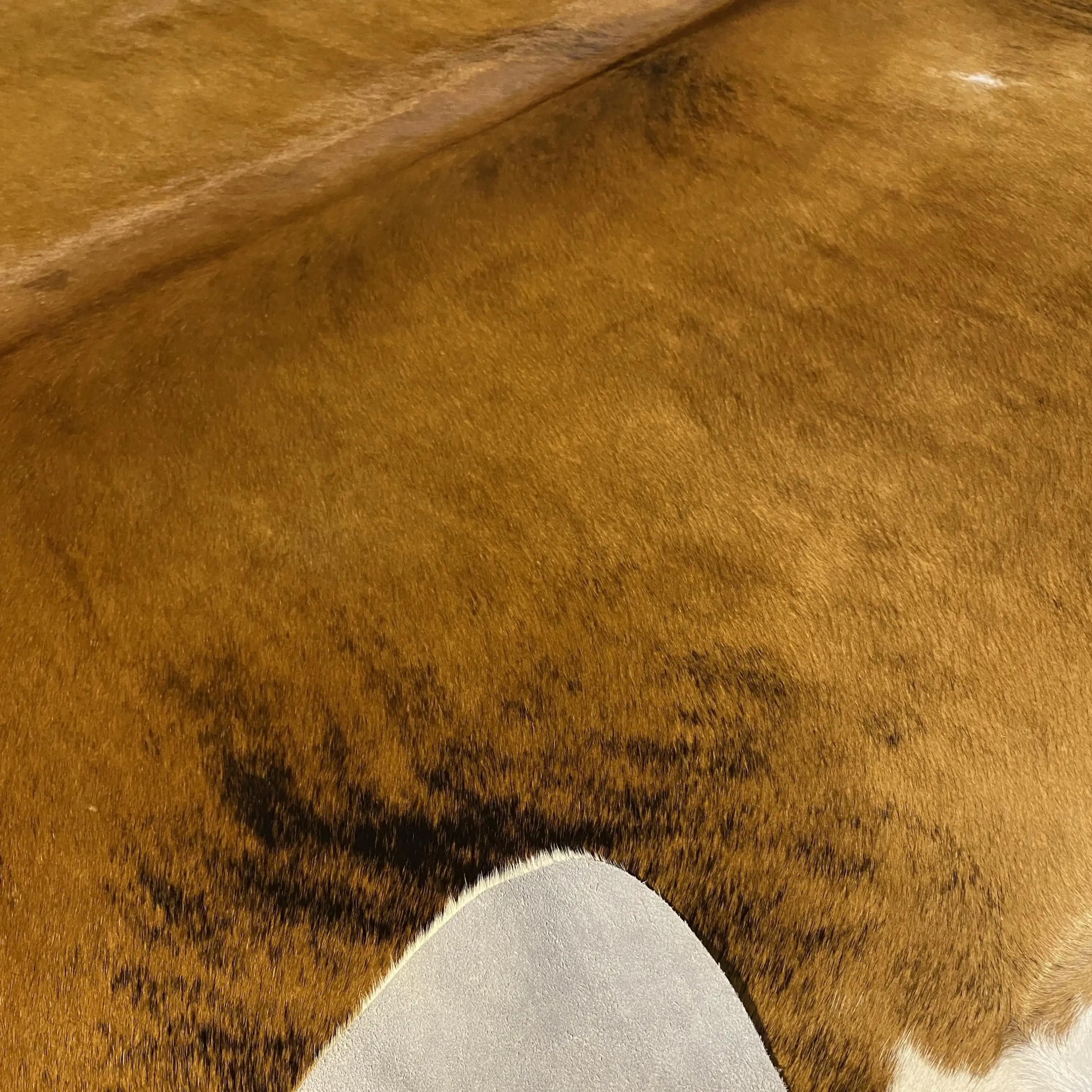 HAKİKİ DERİ DANA POSTU EGZOTİK 200 x 230 - 0401000401