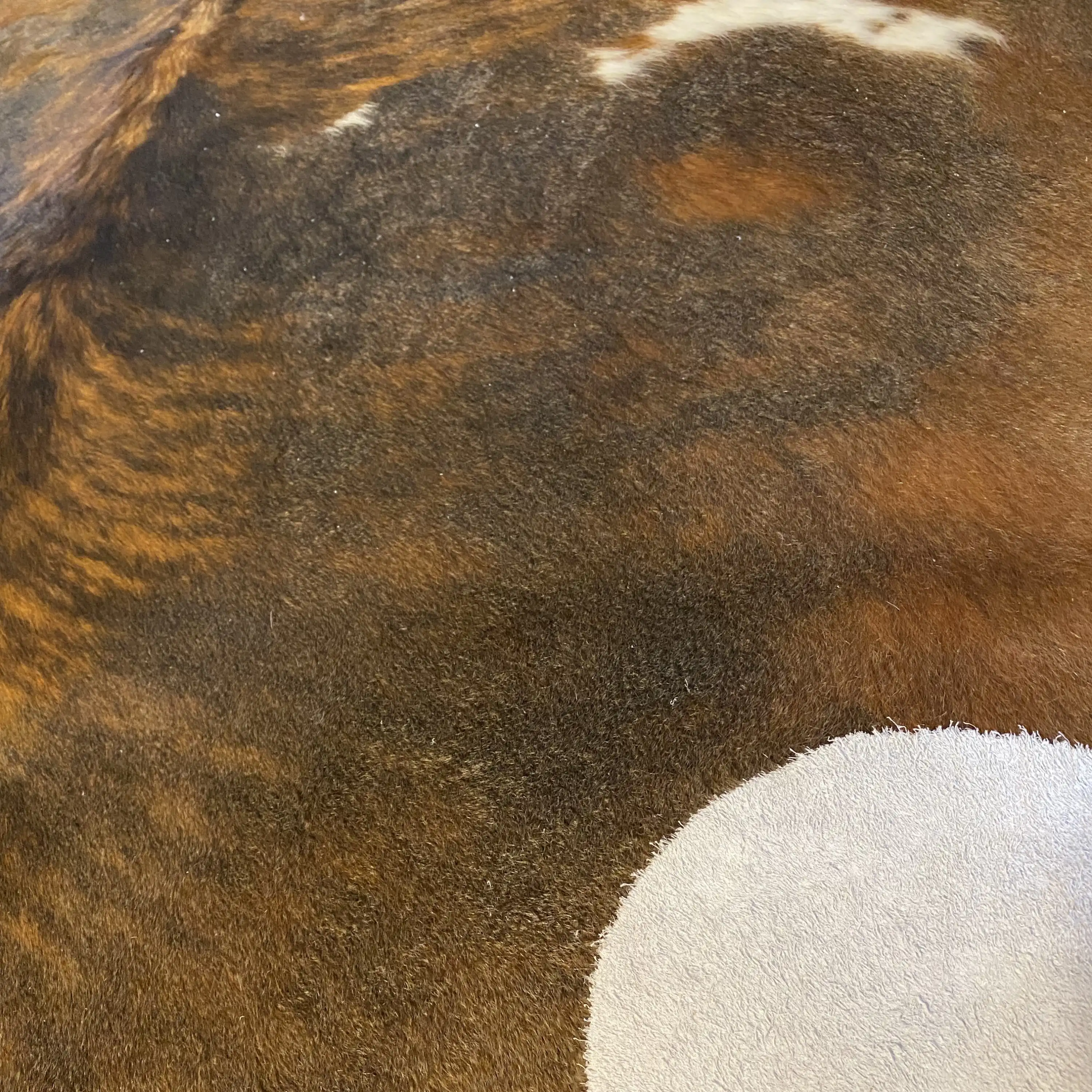 HAKİKİ DERİ DANA POSTU EGZOTİK 200 x 235 - 0401000195