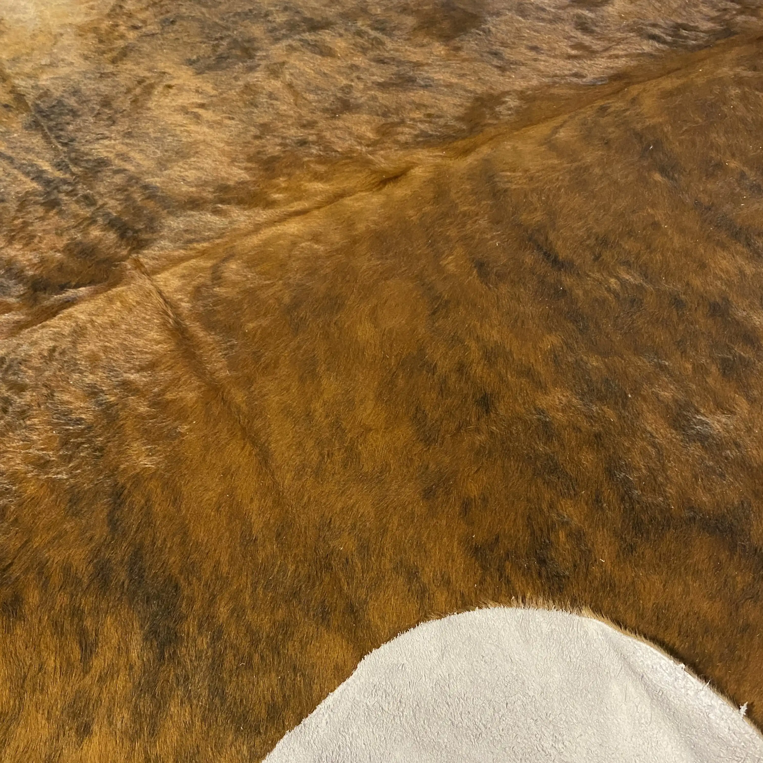 HAKİKİ DERİ DANA POSTU EGZOTİK 200 x 235 - 0401000417