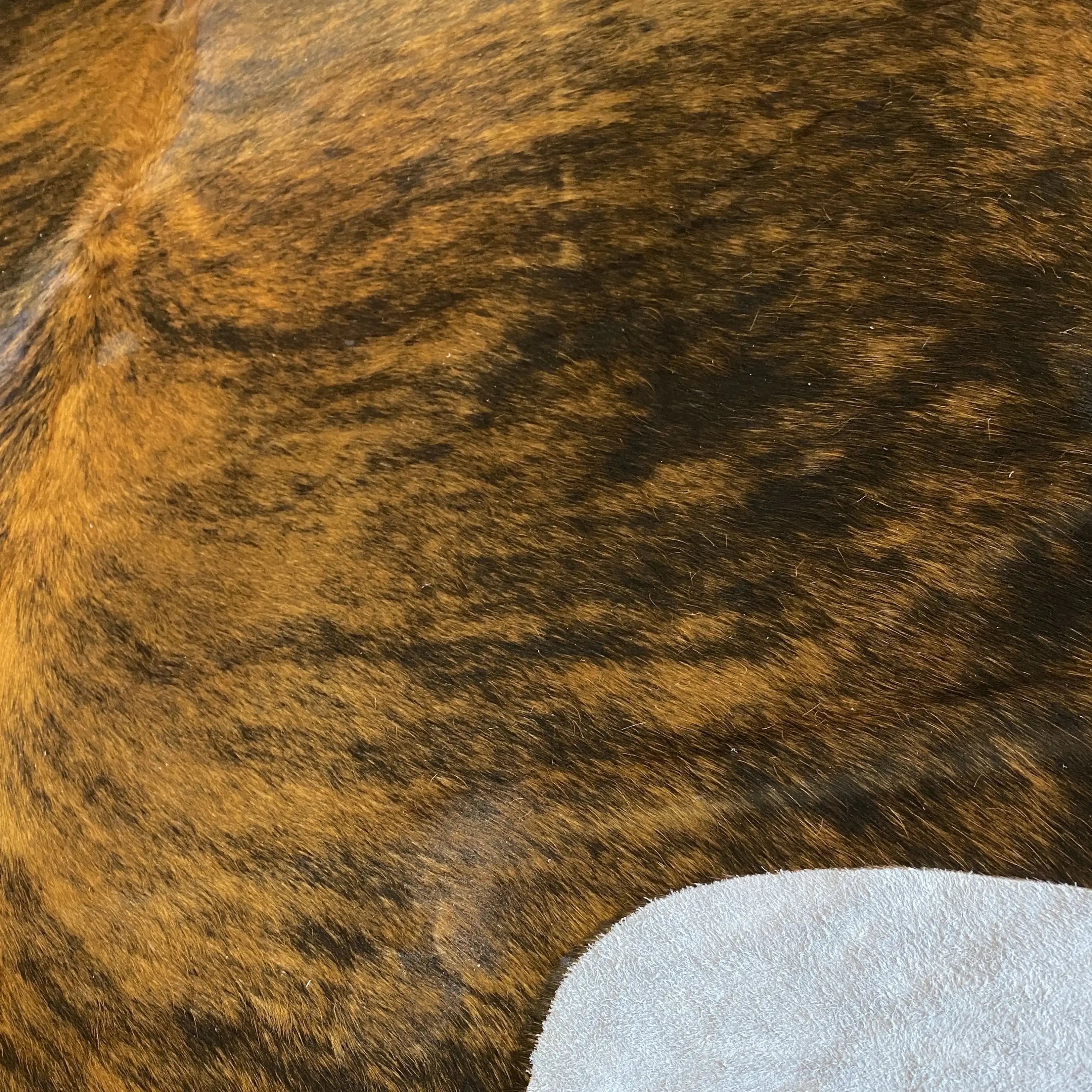 HAKİKİ DERİ DANA POSTU EGZOTİK 200 x 245 - 0401000041