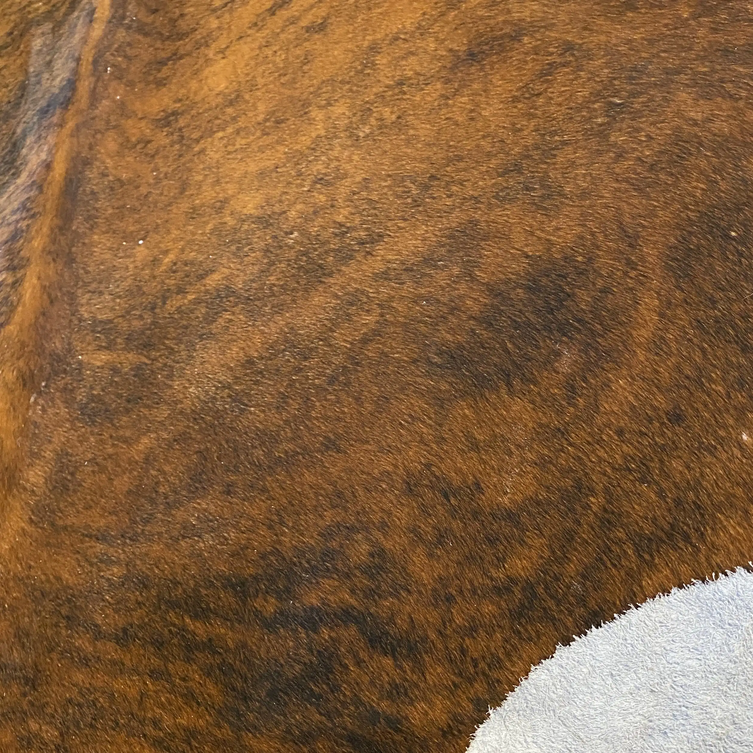 HAKİKİ DERİ DANA POSTU EGZOTİK 200 x 255 - 0401000158