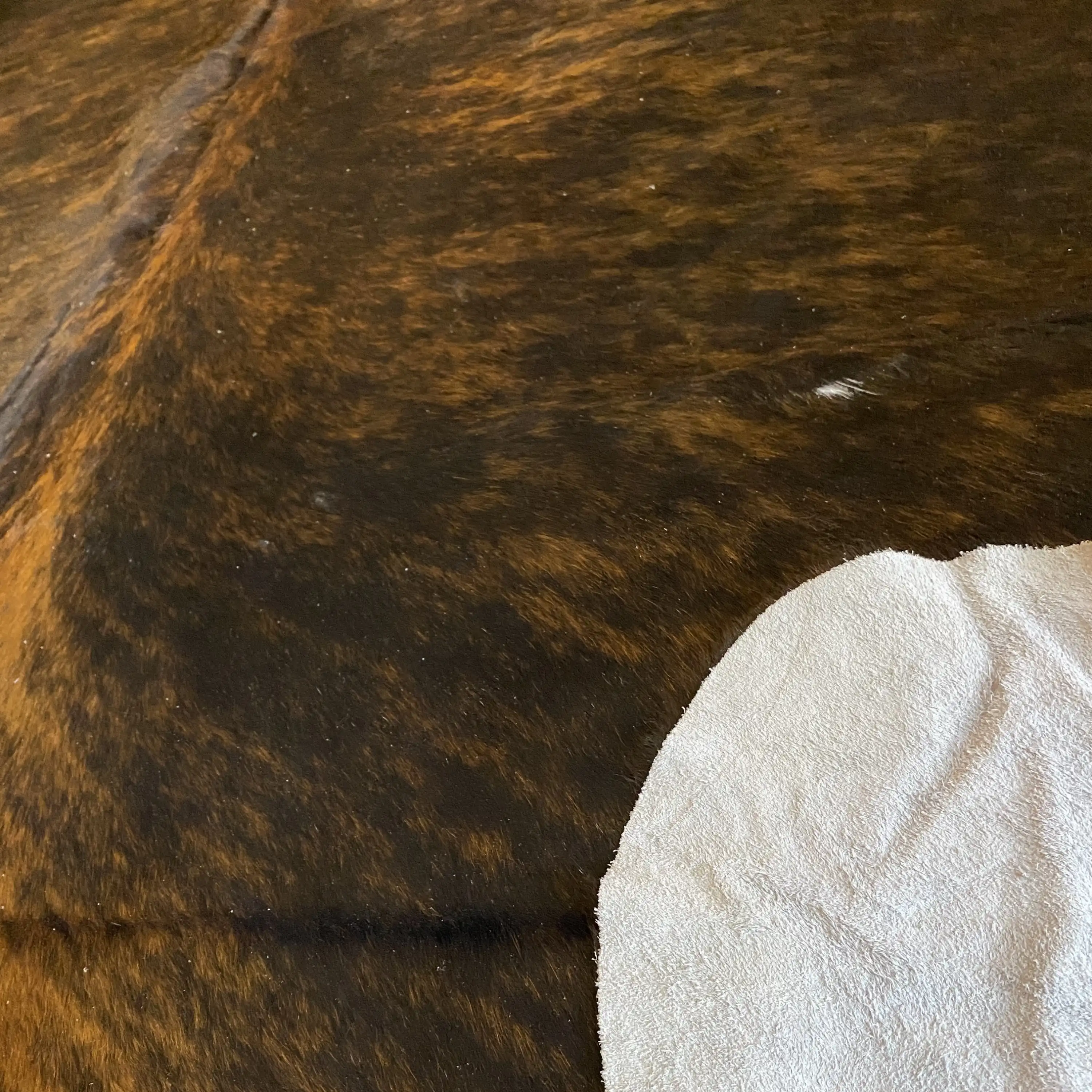 HAKİKİ DERİ DANA POSTU EGZOTİK 205 x 235 - 0401000102