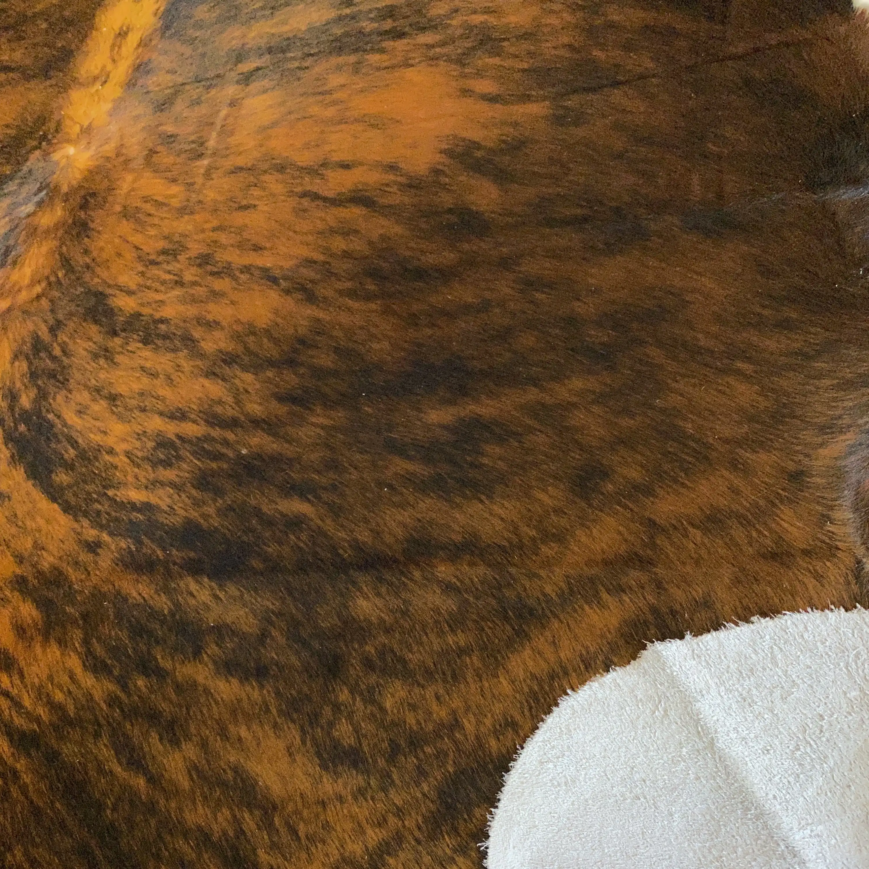 HAKİKİ DERİ DANA POSTU EGZOTİK 210 x 215 - 0401000035