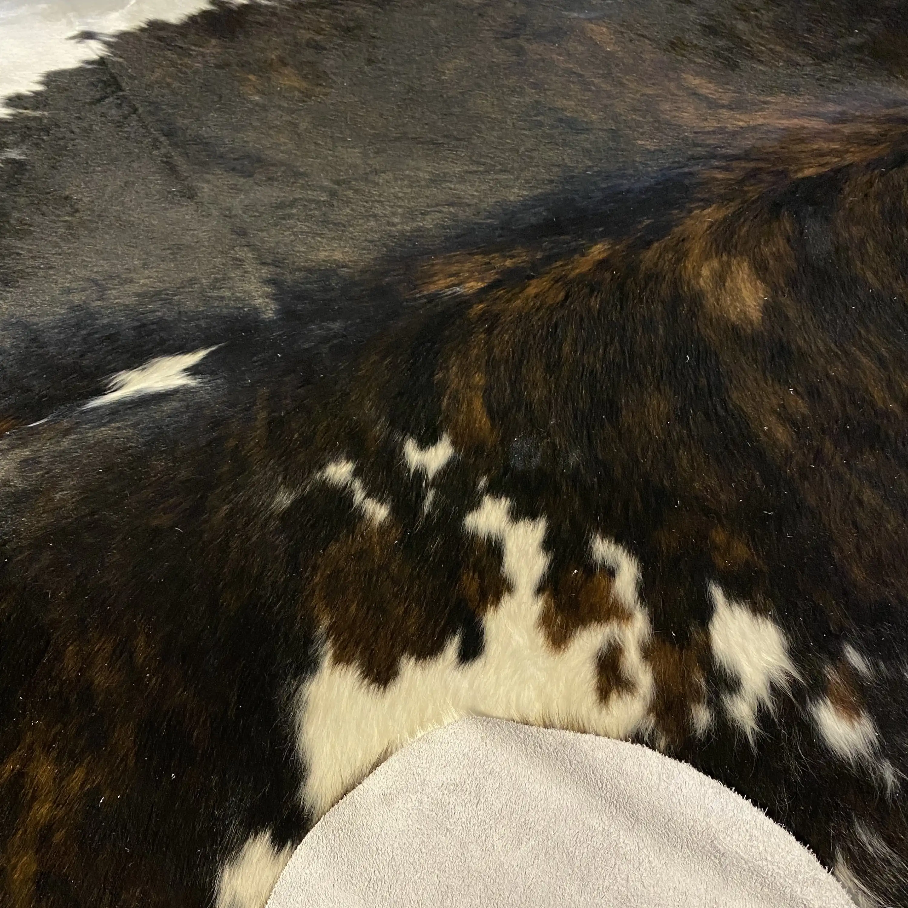 HAKİKİ DERİ DANA POSTU EGZOTİK 210 x 235 - 0401000377