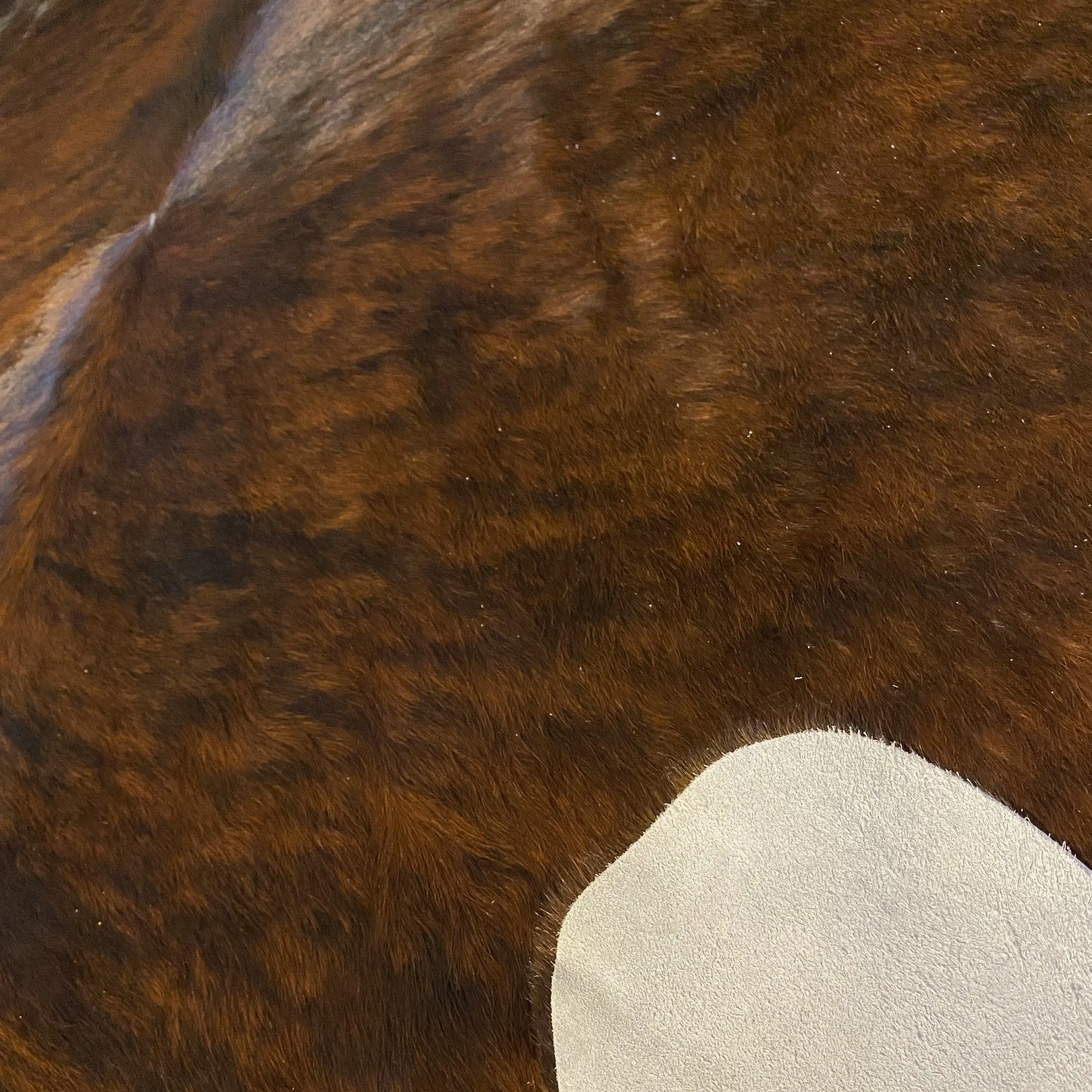 HAKİKİ DERİ DANA POSTU EGZOTİK 215 x 235 - 0401000120