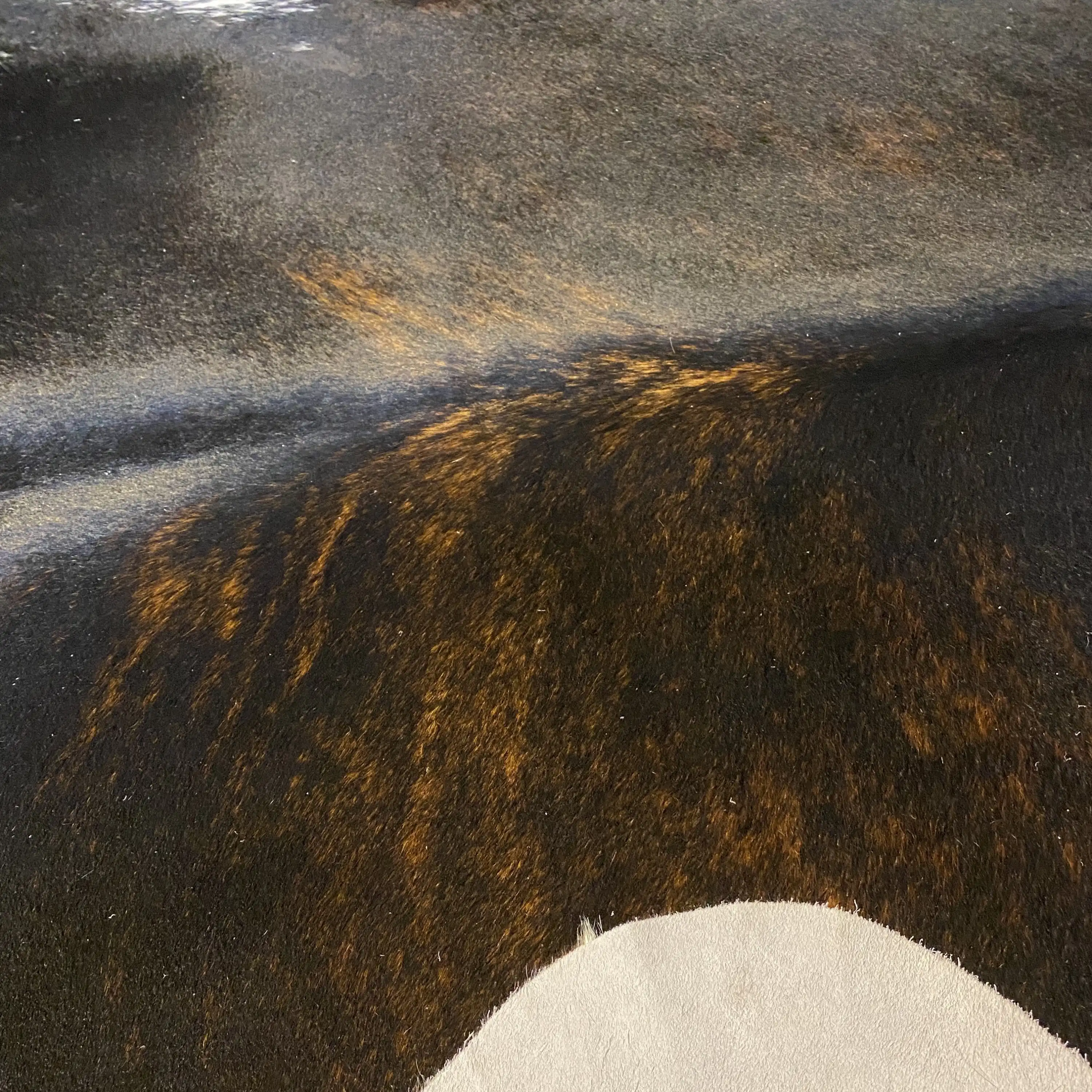 HAKİKİ DERİ DANA POSTU EGZOTİK 215 x 235 - 0401000363