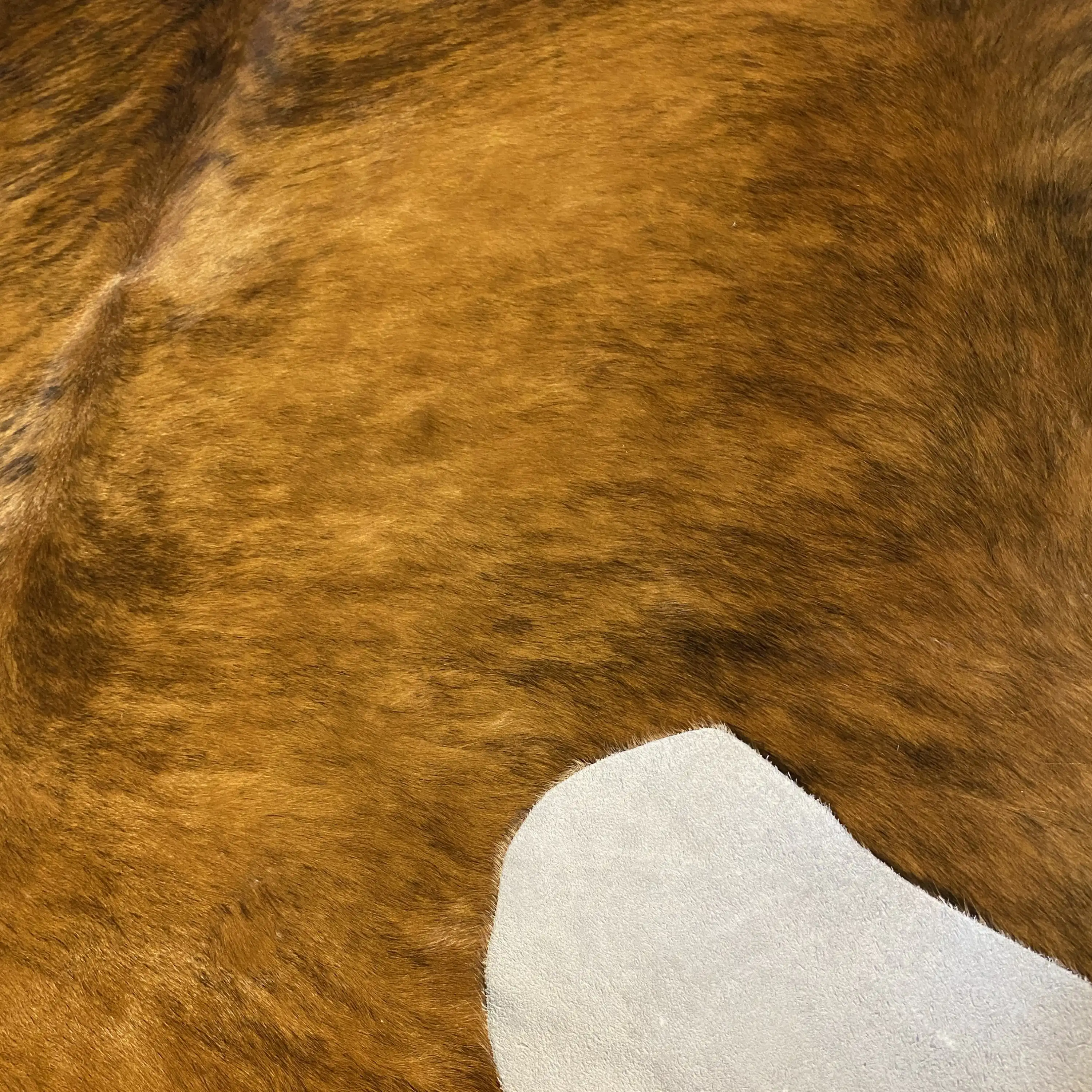 HAKİKİ DERİ DANA POSTU EGZOTİK 215 x 240 - 0401000220