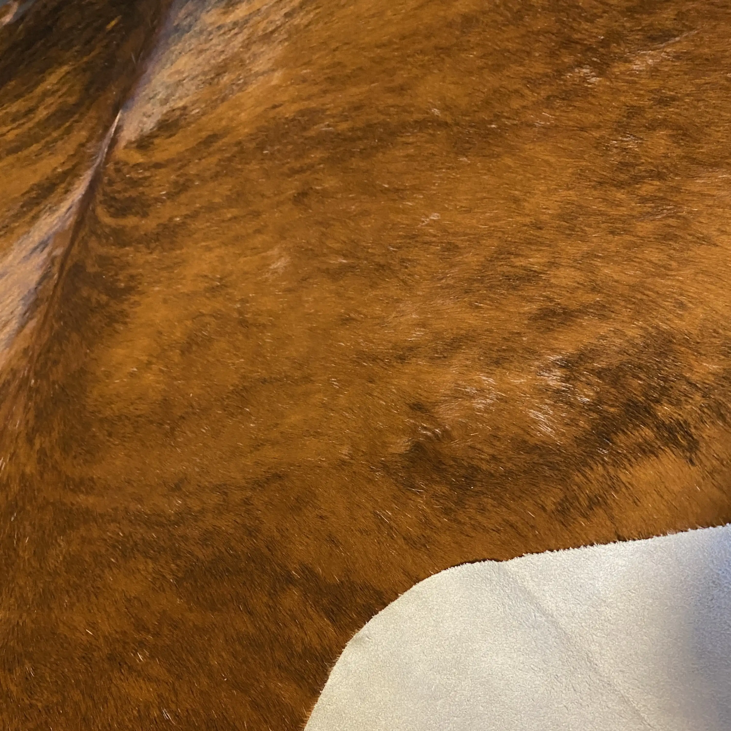 HAKİKİ DERİ DANA POSTU EGZOTİK 215 x 250 - 0401000135