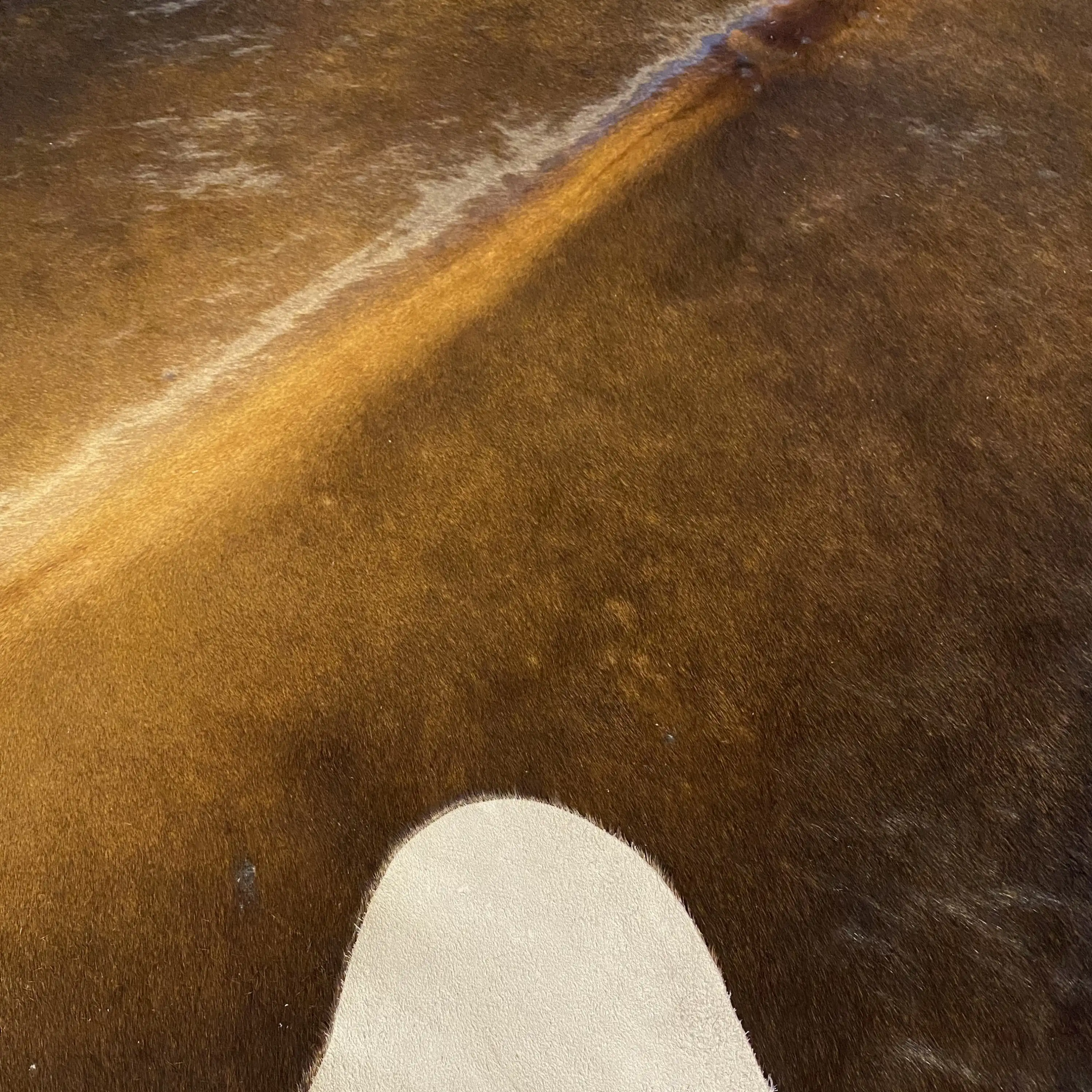 HAKİKİ DERİ DANA POSTU KAHVE 170 x 235 - 0201000089