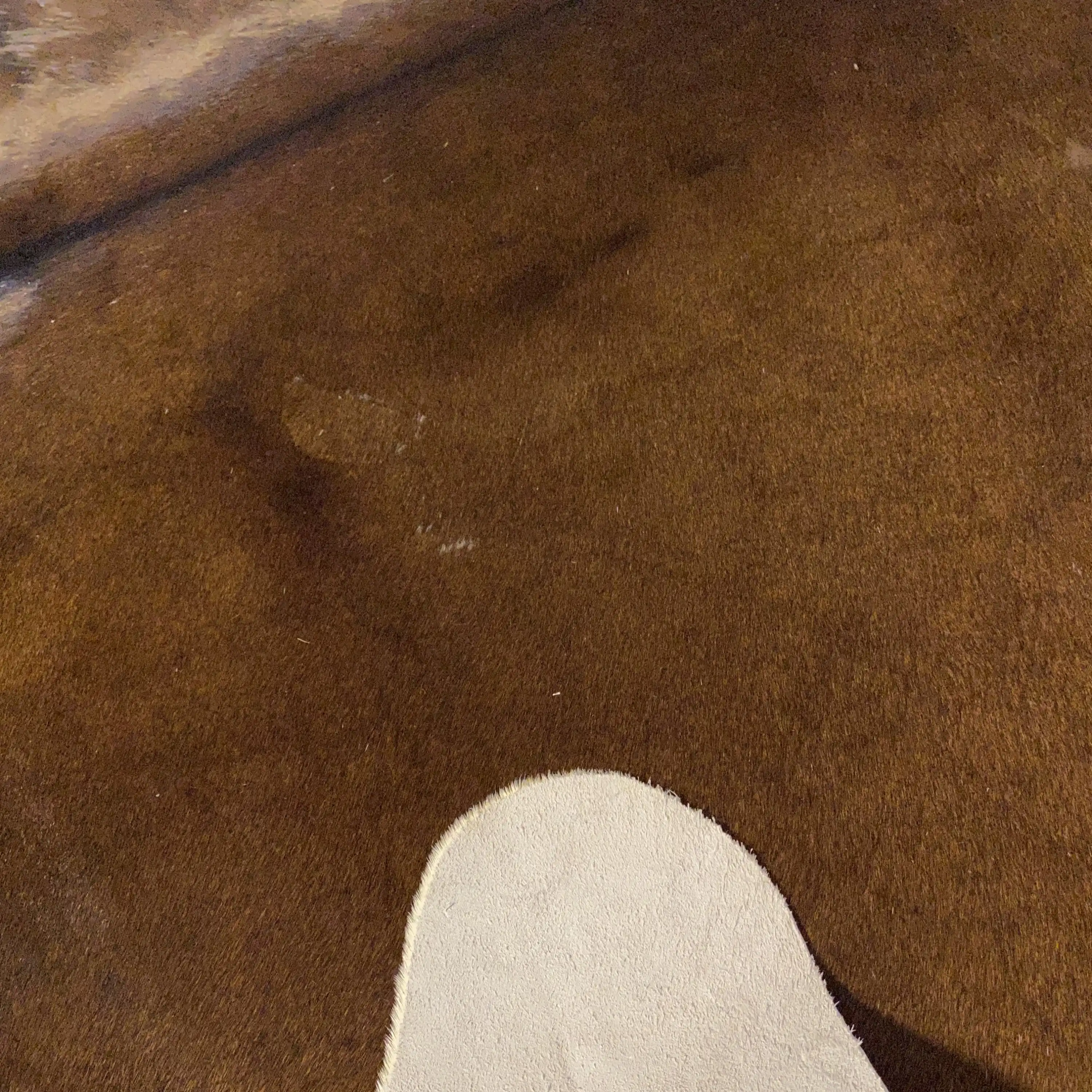 HAKİKİ DERİ DANA POSTU KAHVE 180 x 220 - 0201000125