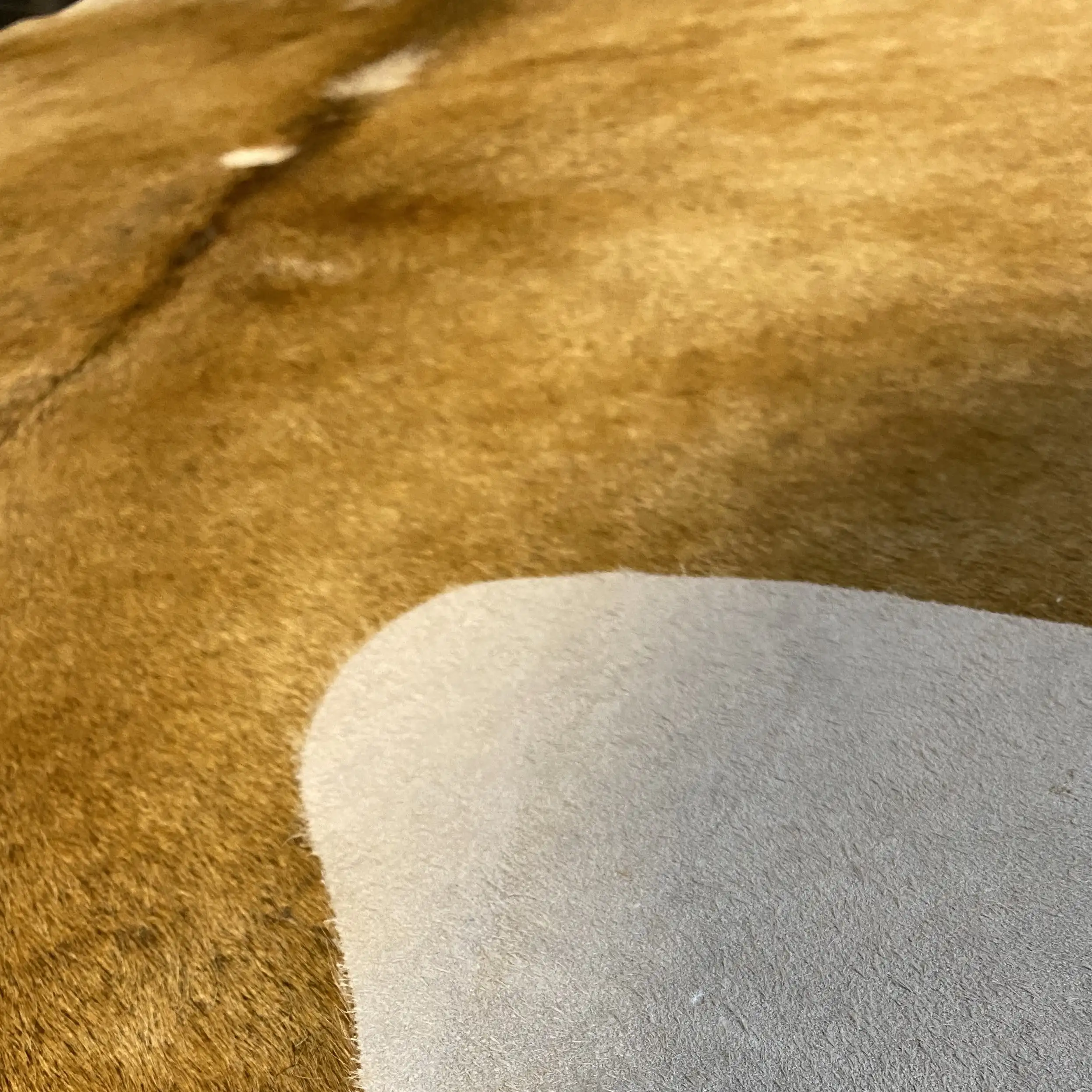 HAKİKİ DERİ DANA POSTU KAHVE 185 x 220 - 0201000061