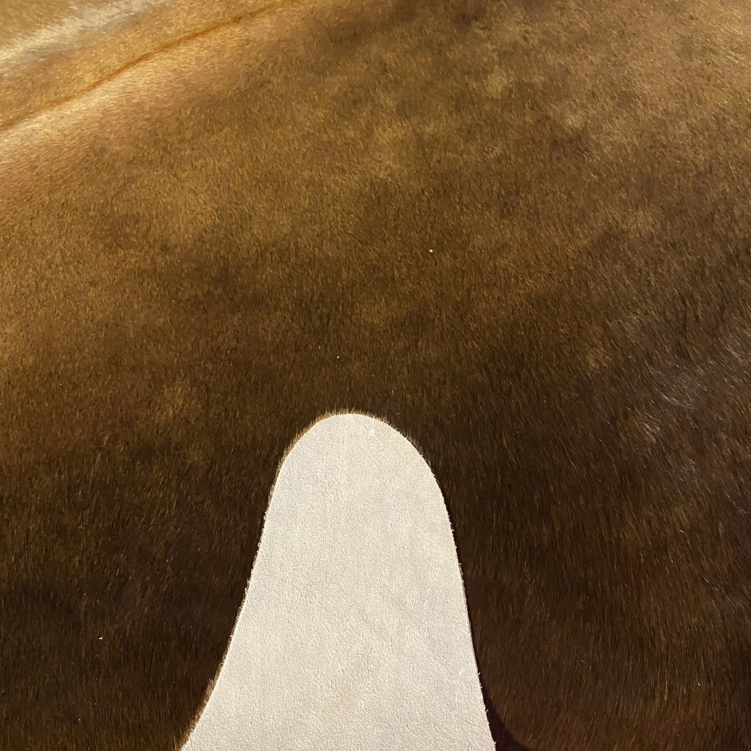 HAKİKİ DERİ DANA POSTU KAHVE 190 x 230 - 0201000094