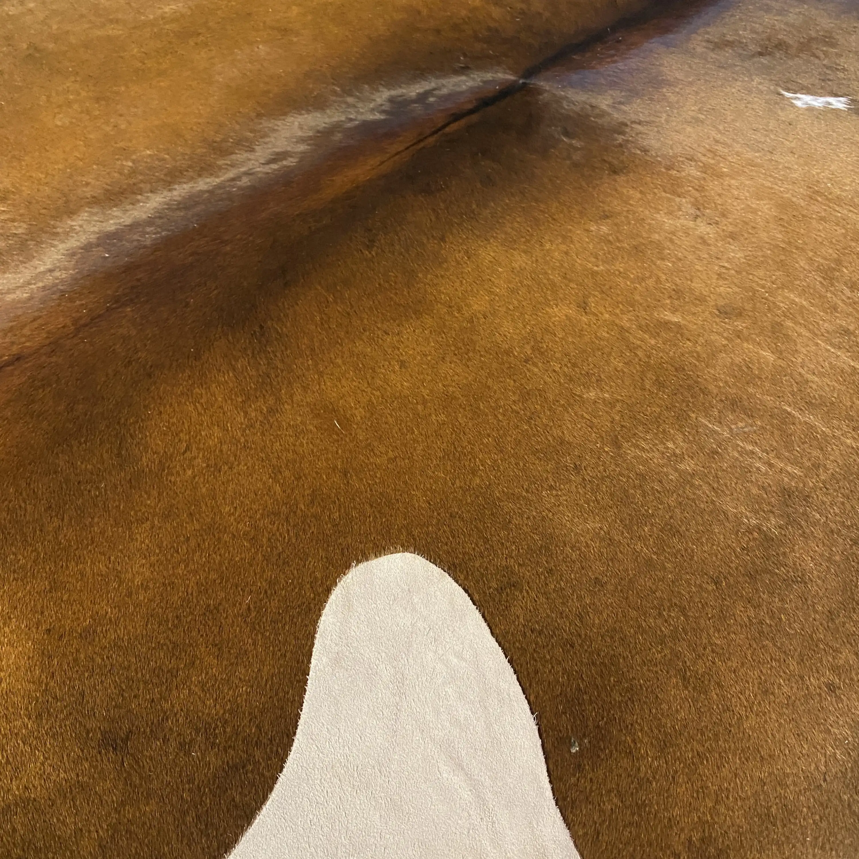 HAKİKİ DERİ DANA POSTU KAHVE 190 x 230 - 0201000100