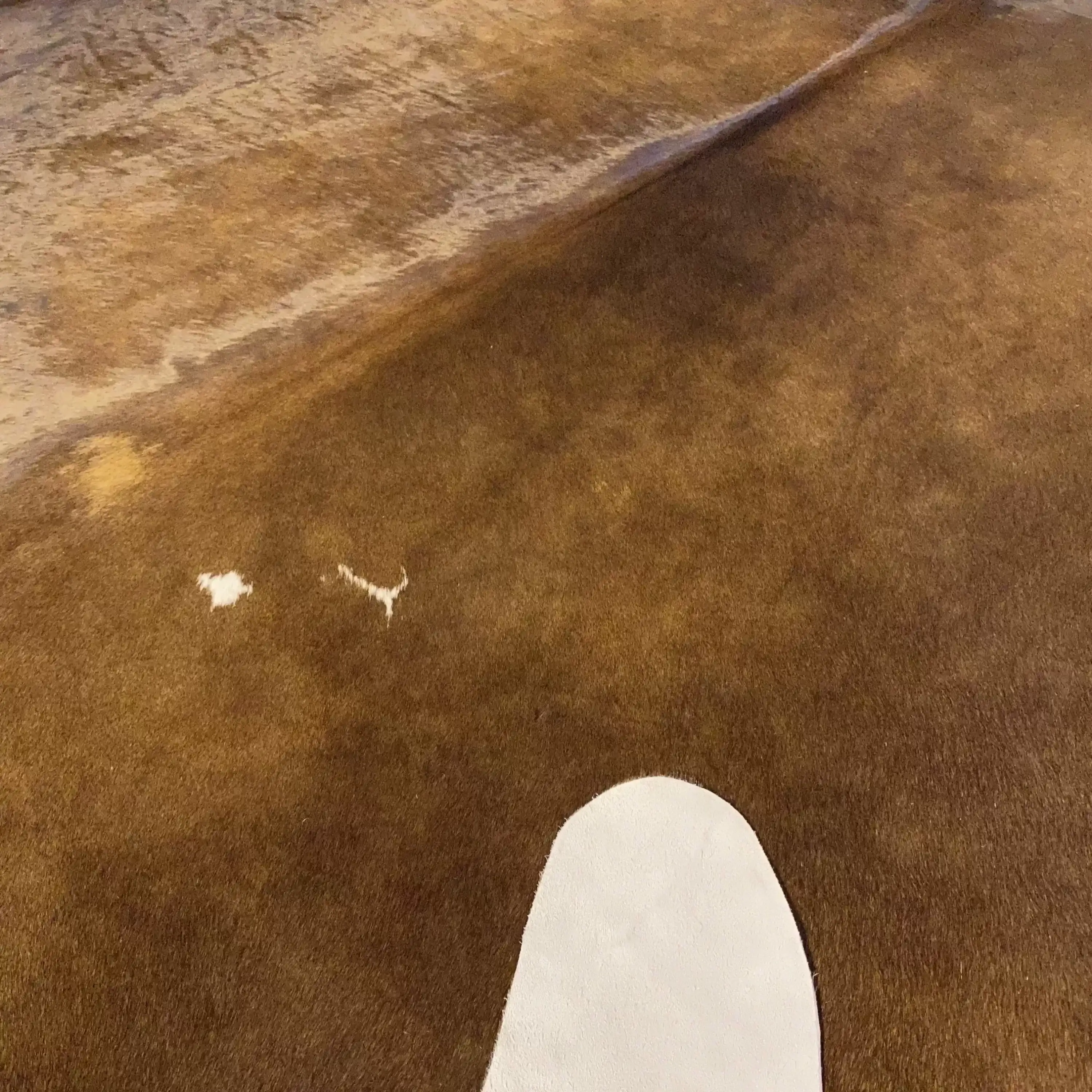 HAKİKİ DERİ DANA POSTU KAHVE 190 x 235 - 0201000147