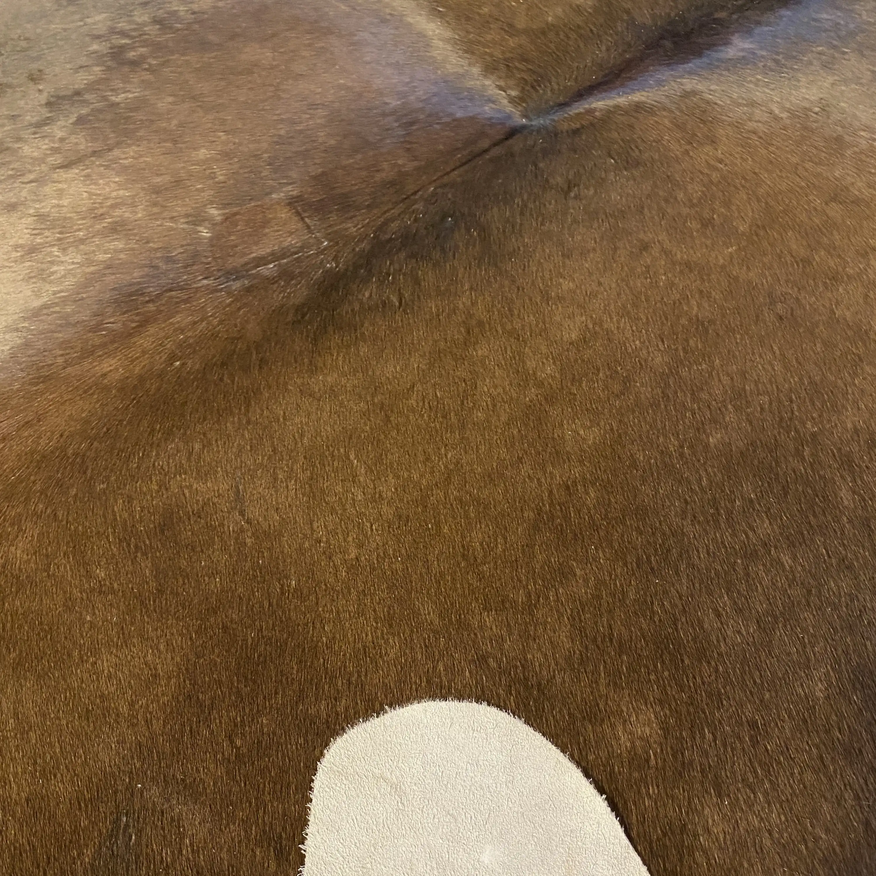 HAKİKİ DERİ DANA POSTU KAHVE 195 x 220 - 0201000104