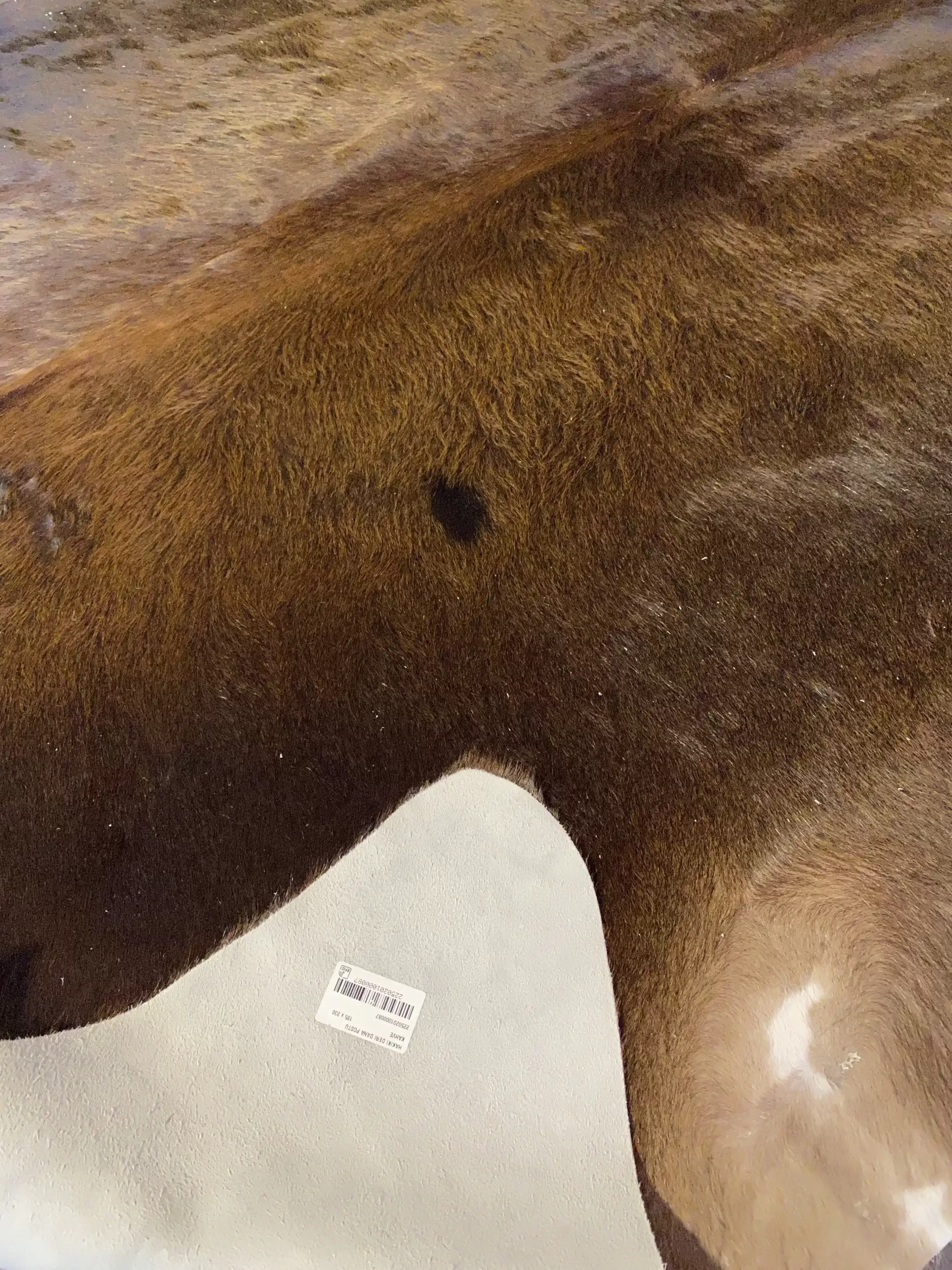 HAKİKİ DERİ DANA POSTU KAHVE 195 x 230 - 0201000087