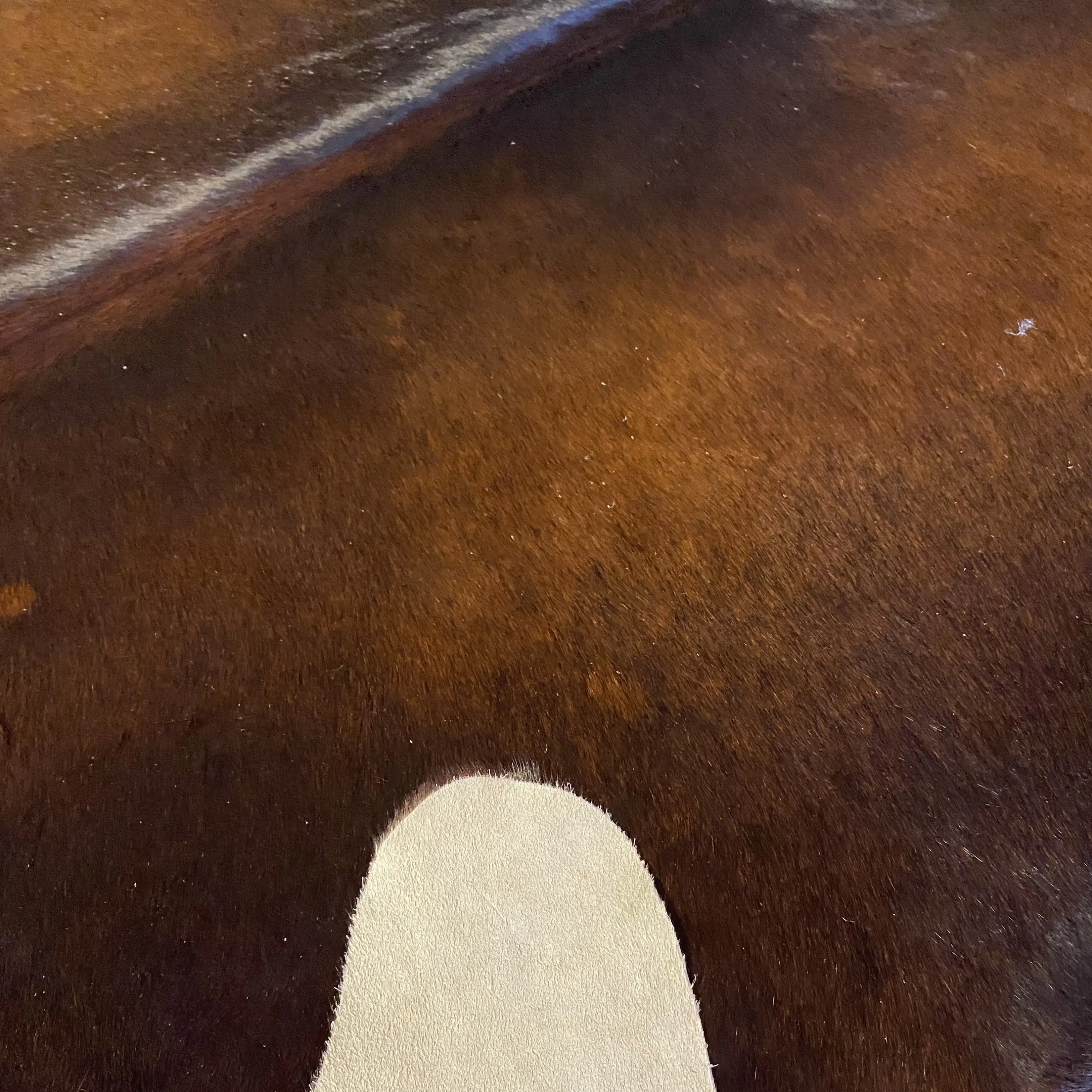 HAKİKİ DERİ DANA POSTU KAHVE 200 x 235 - 0201000095