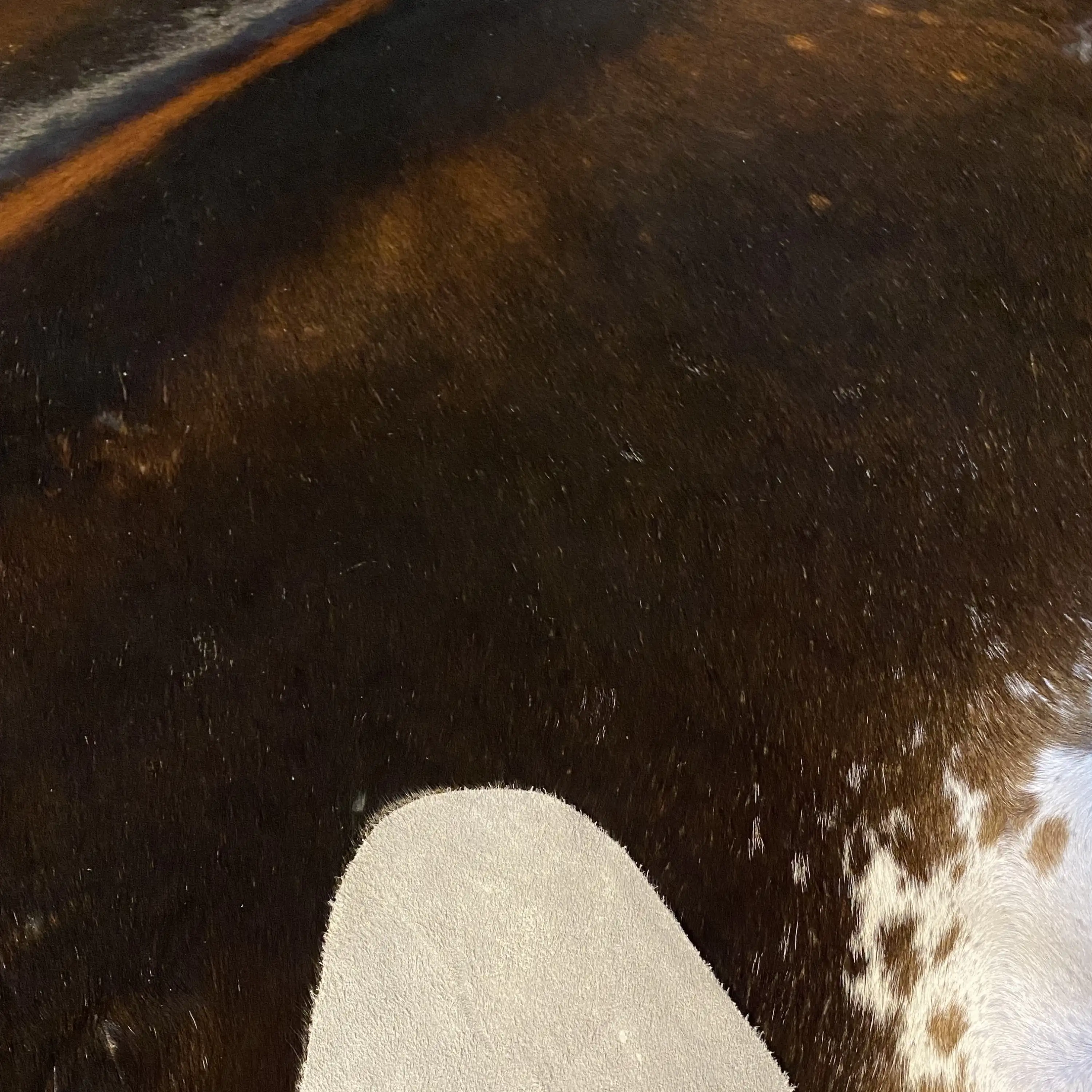 HAKİKİ DERİ DANA POSTU KAHVE 210 x 235 - 0201000119