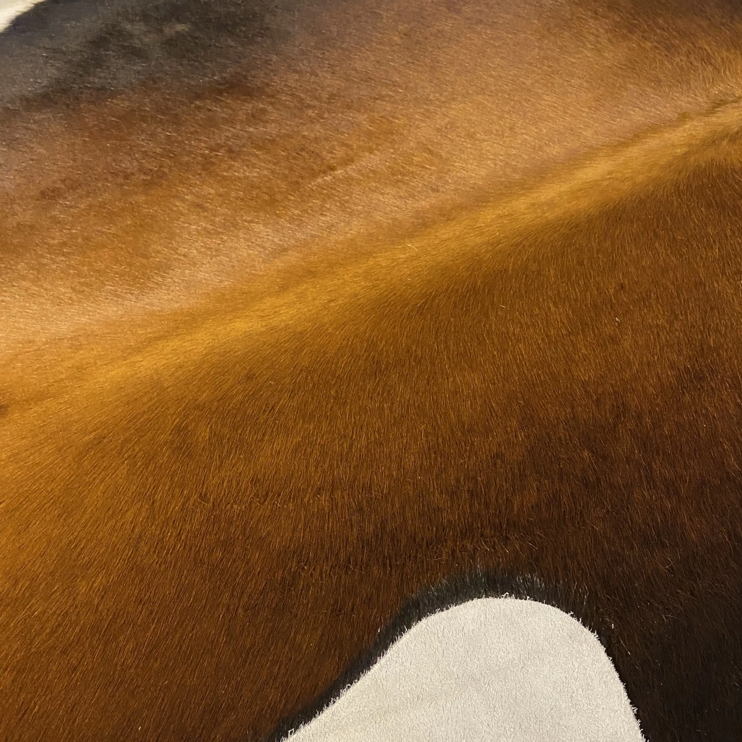 HAKİKİ DERİ DANA POSTU MIX KAHVE 180 x 205 - 1001000149