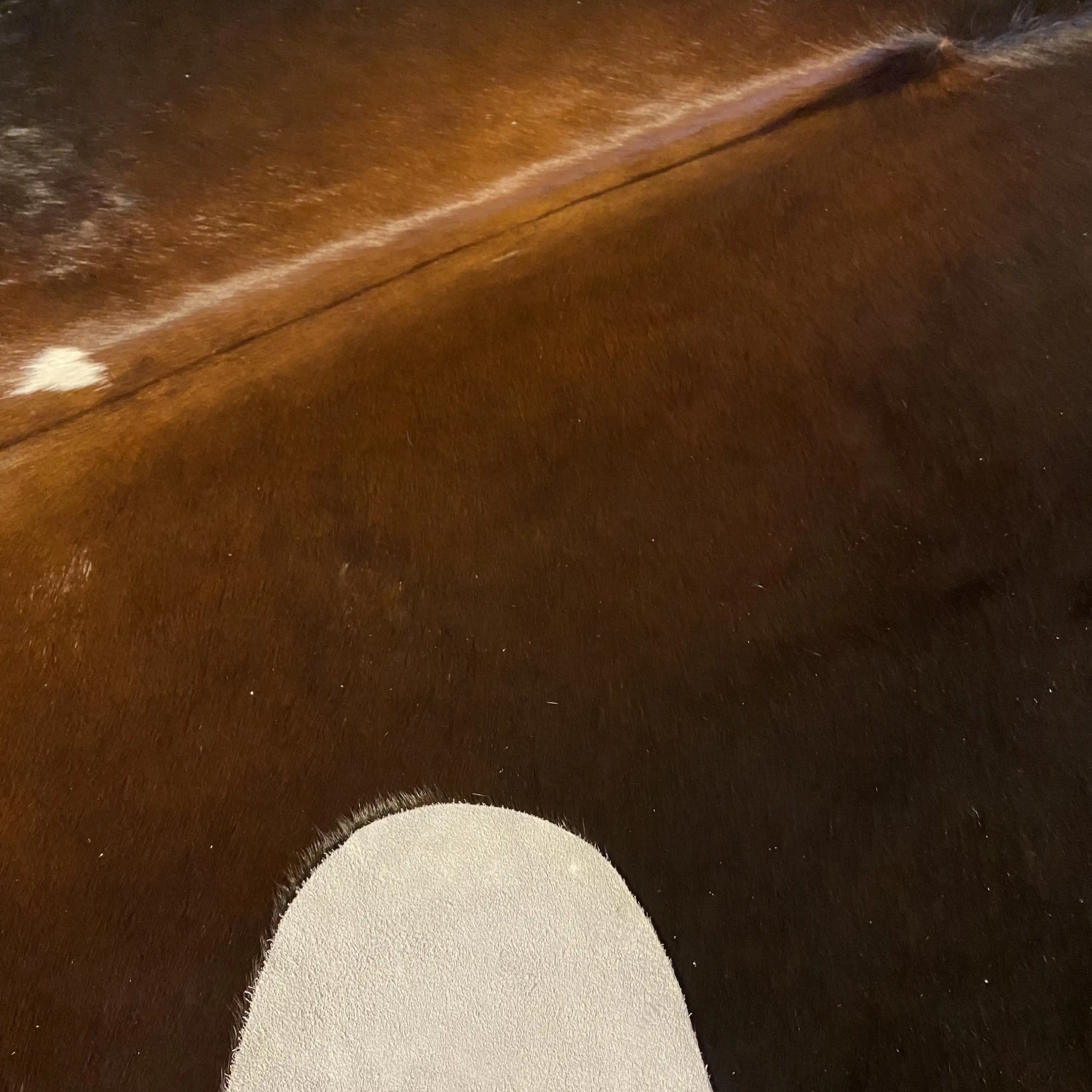 HAKİKİ DERİ DANA POSTU MIX KAHVE 180 x 215 - 1001000132