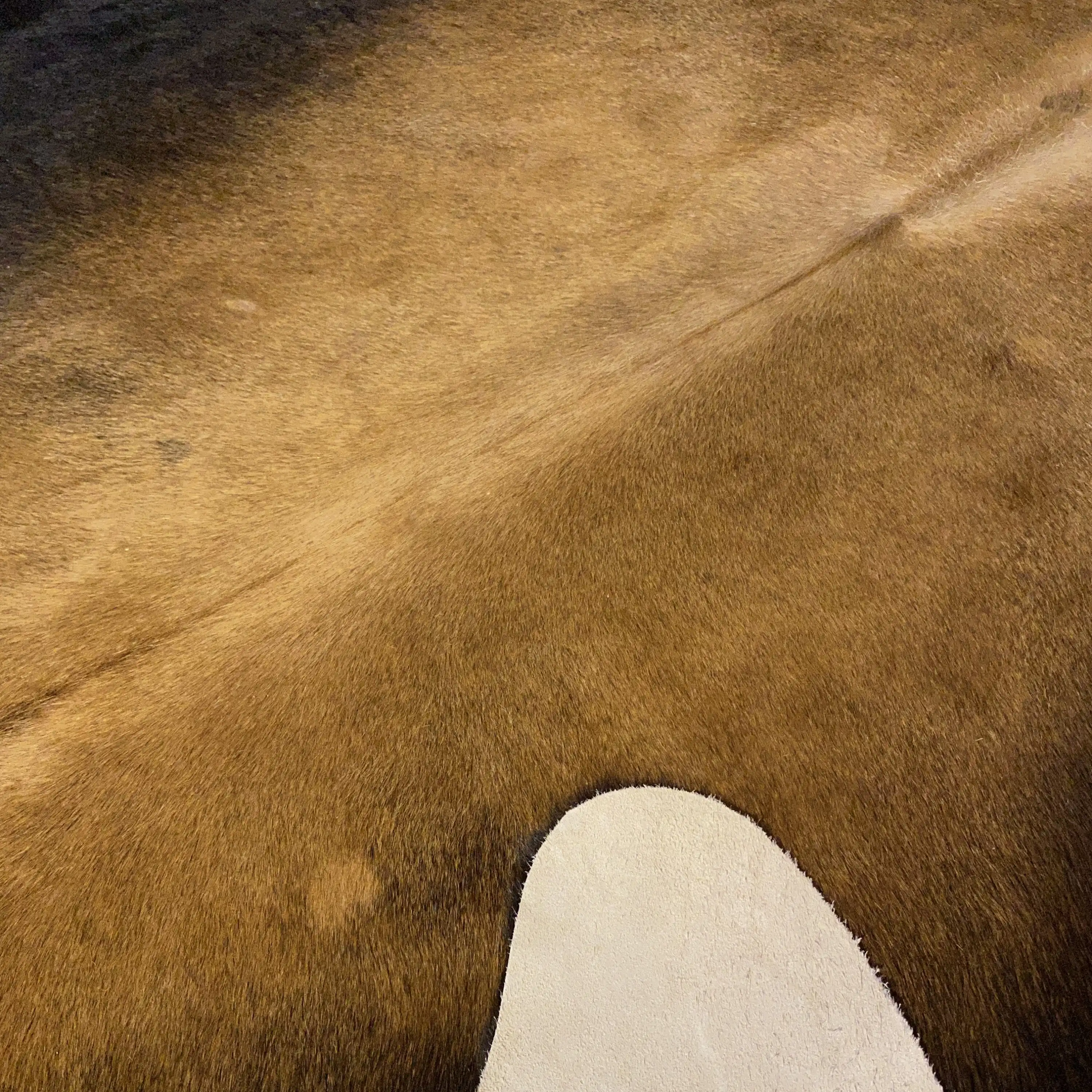 HAKİKİ DERİ DANA POSTU MIX KAHVE 185 x 230 - 1001000112